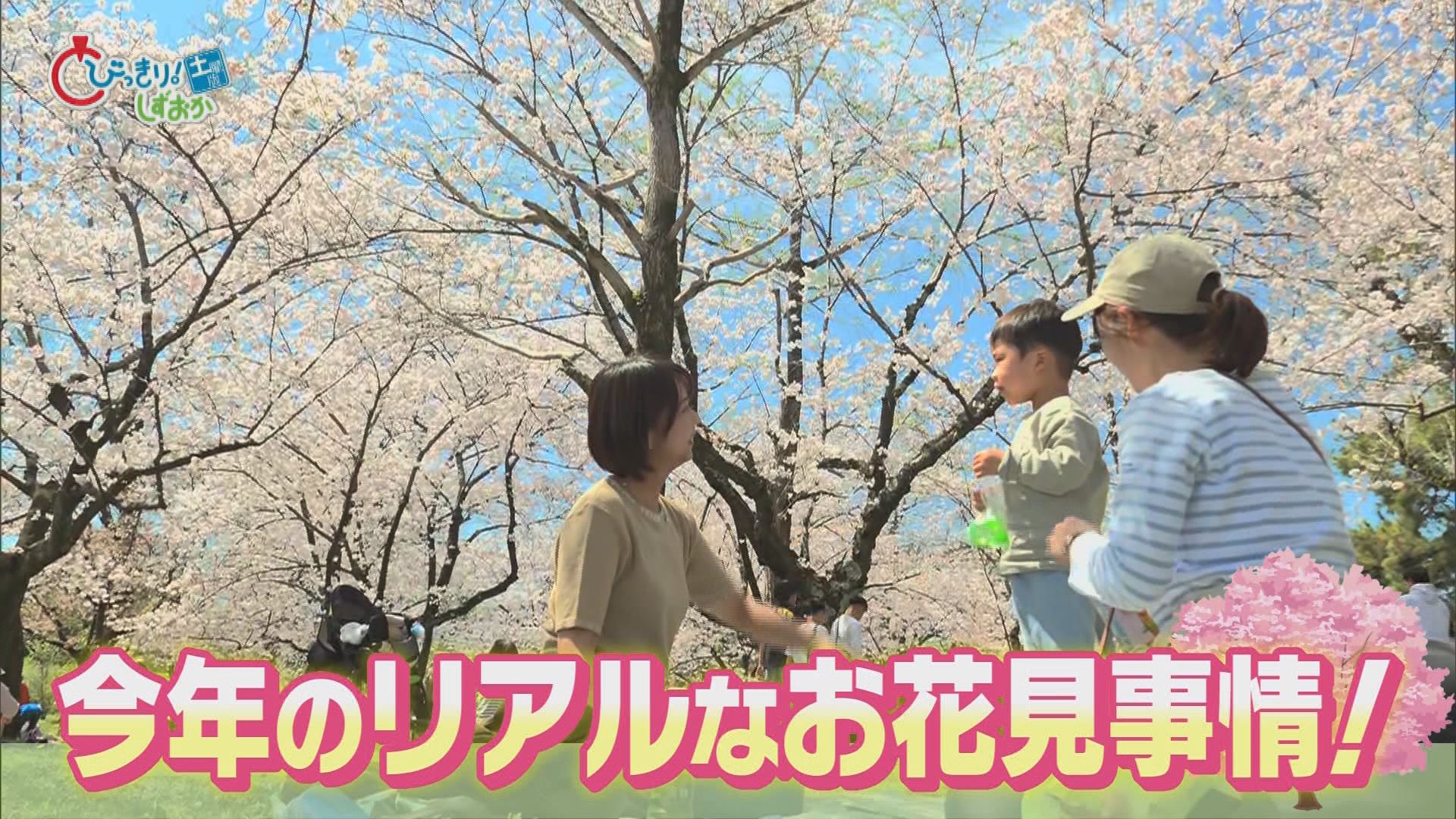 「あなたの人生今何分咲き」…花見客に聞きました　「7分咲き。結婚して満開に…」　静岡市「駿府城公園」
