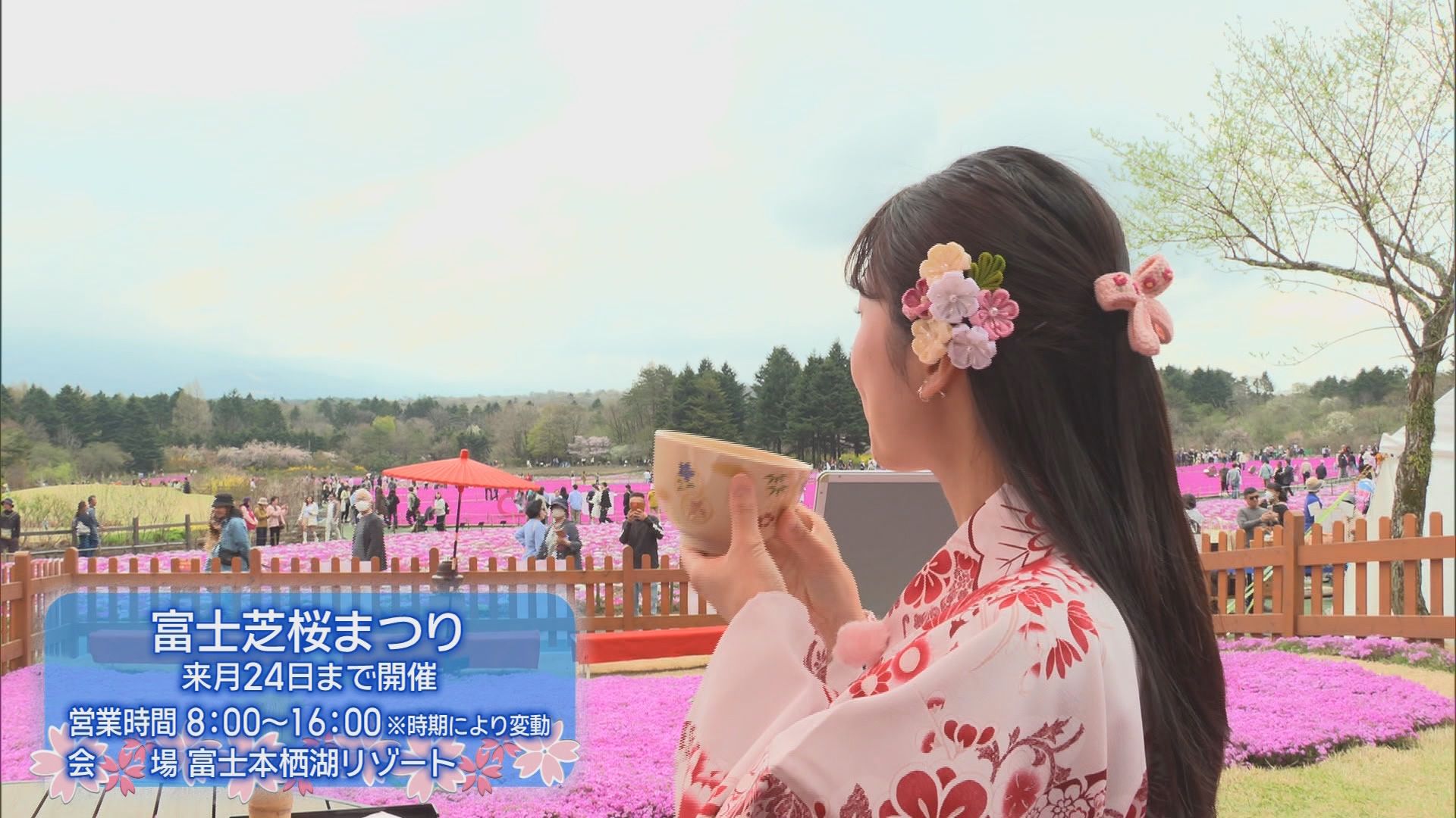 富士山と6種50万株の芝桜を堪能　着物姿で抹茶も　GWオススメスポット　山梨・富士本栖湖リゾート「富士芝桜まつり」
