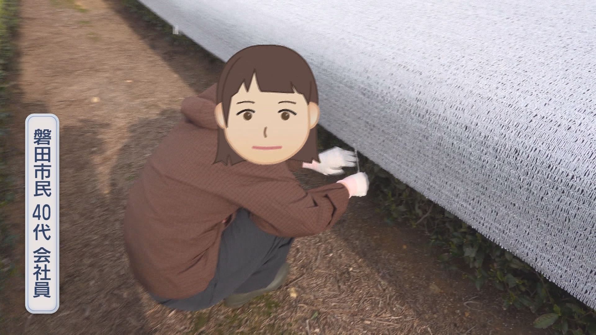 風で飛ばないように固定