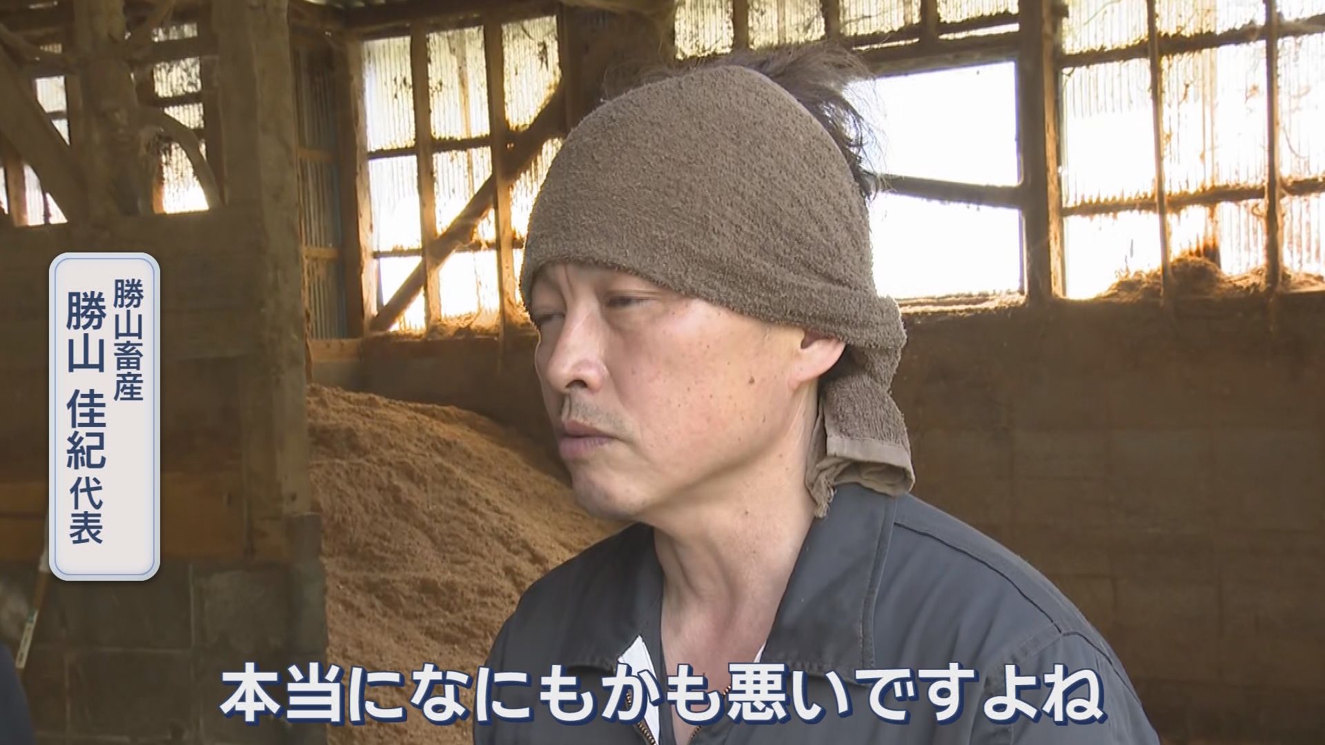 「こんな数字見たことない」建築資材軒並み高騰…一気に80%～100%値上げも　畜産業は飼料・燃料・電気代の三重苦　/イラン情勢で生活への影響拡大