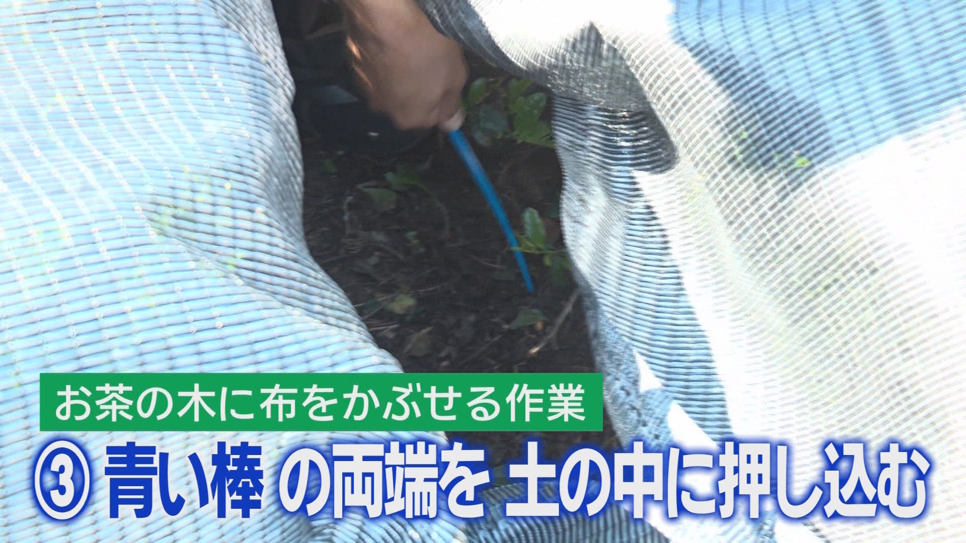 スキマバイトの「タイミー」と連携協定を結んだ静岡・磐田市の狙いは　スキマバイト大活躍の現場　磐田市、掛川市