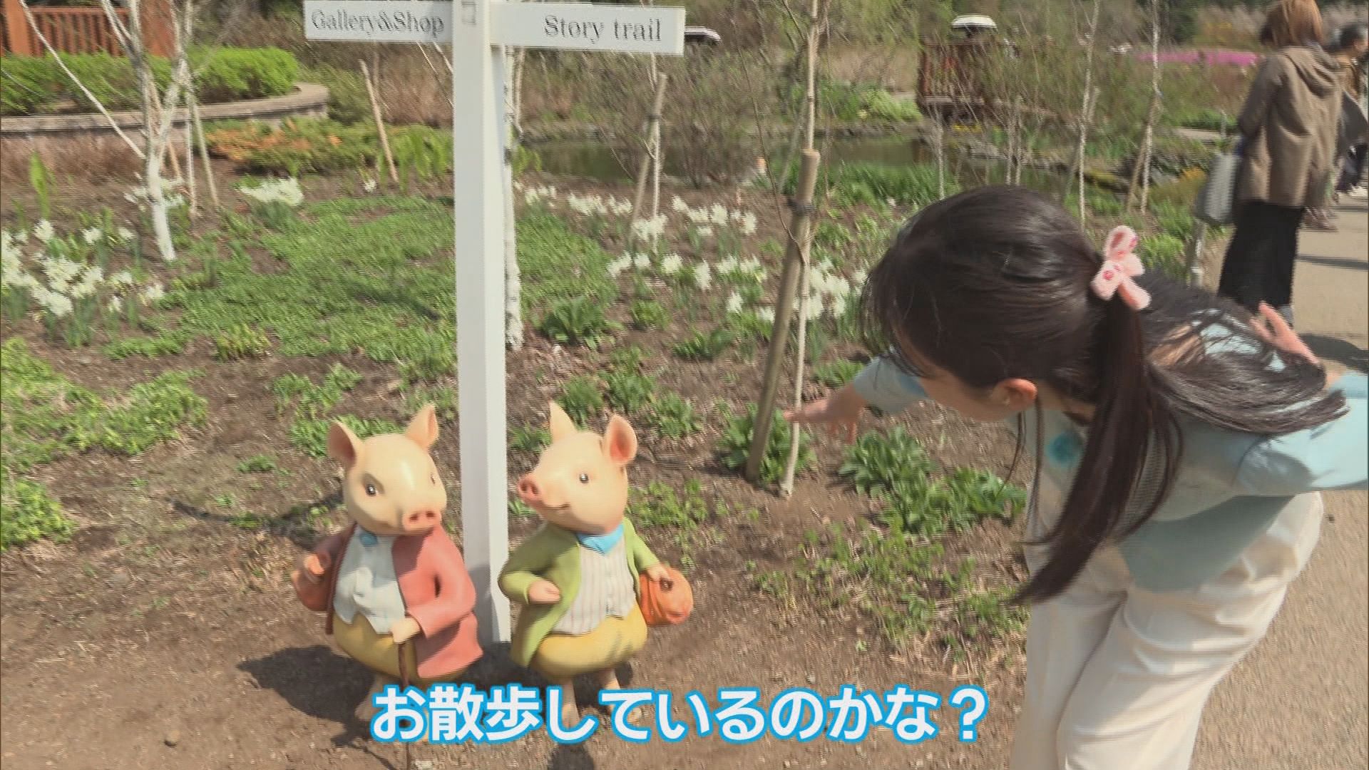 富士山と6種50万株の芝桜を堪能　着物姿で抹茶も　GWオススメスポット　山梨・富士本栖湖リゾート「富士芝桜まつり」