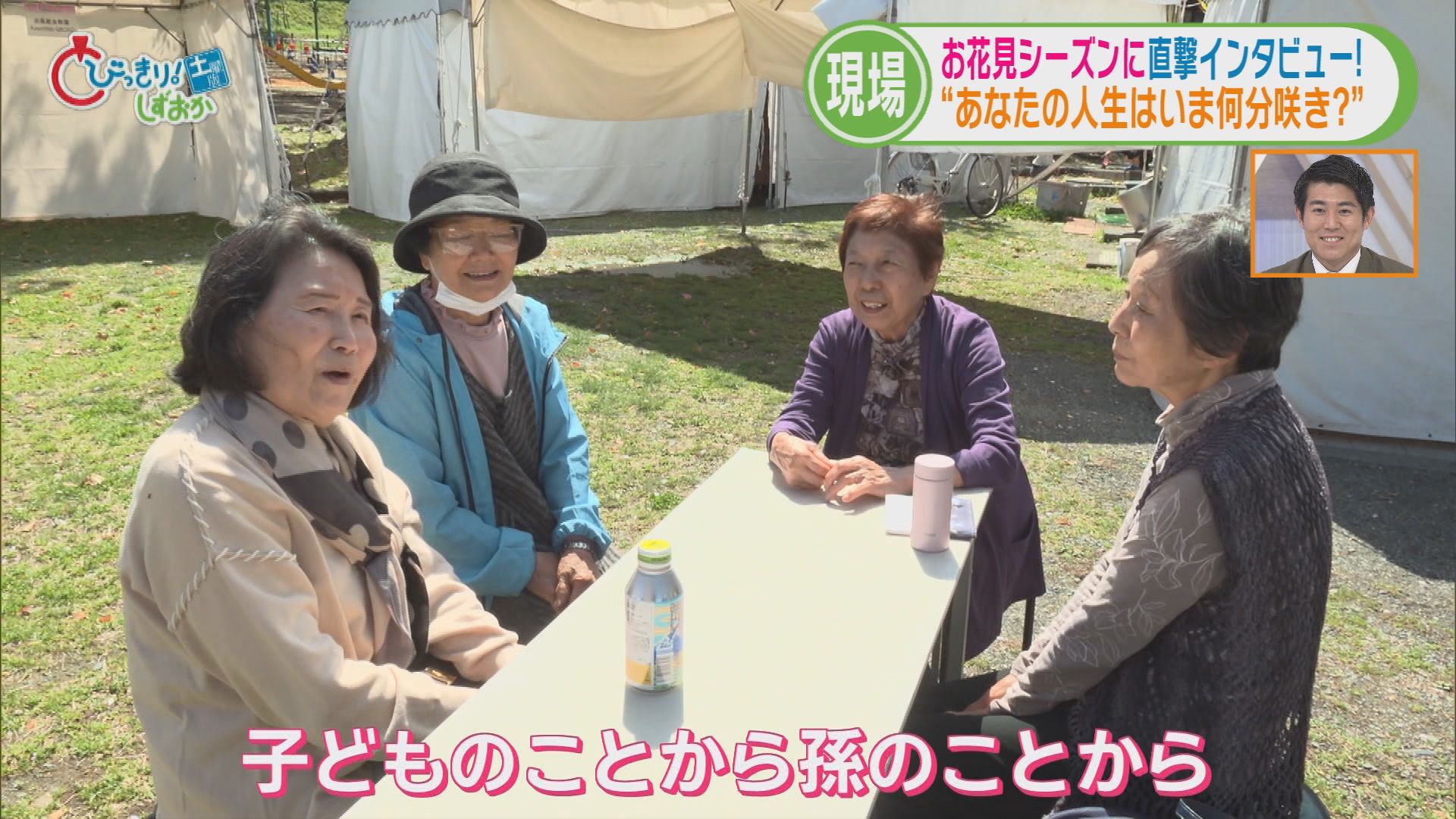 「あなたの人生今何分咲き」…花見客に聞きました　「7分咲き。結婚して満開に…」　静岡市「駿府城公園」