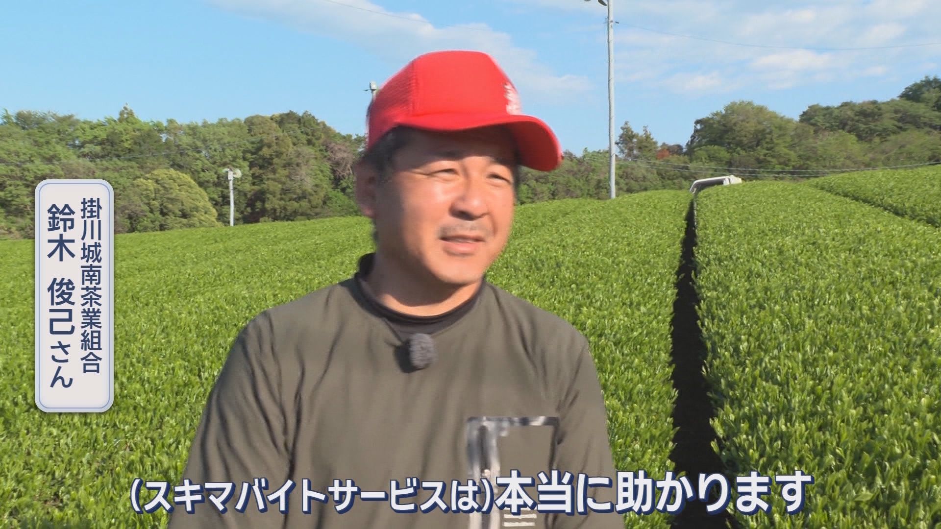 スキマバイトの「タイミー」と連携協定を結んだ静岡・磐田市の狙いは　スキマバイト大活躍の現場　磐田市、掛川市