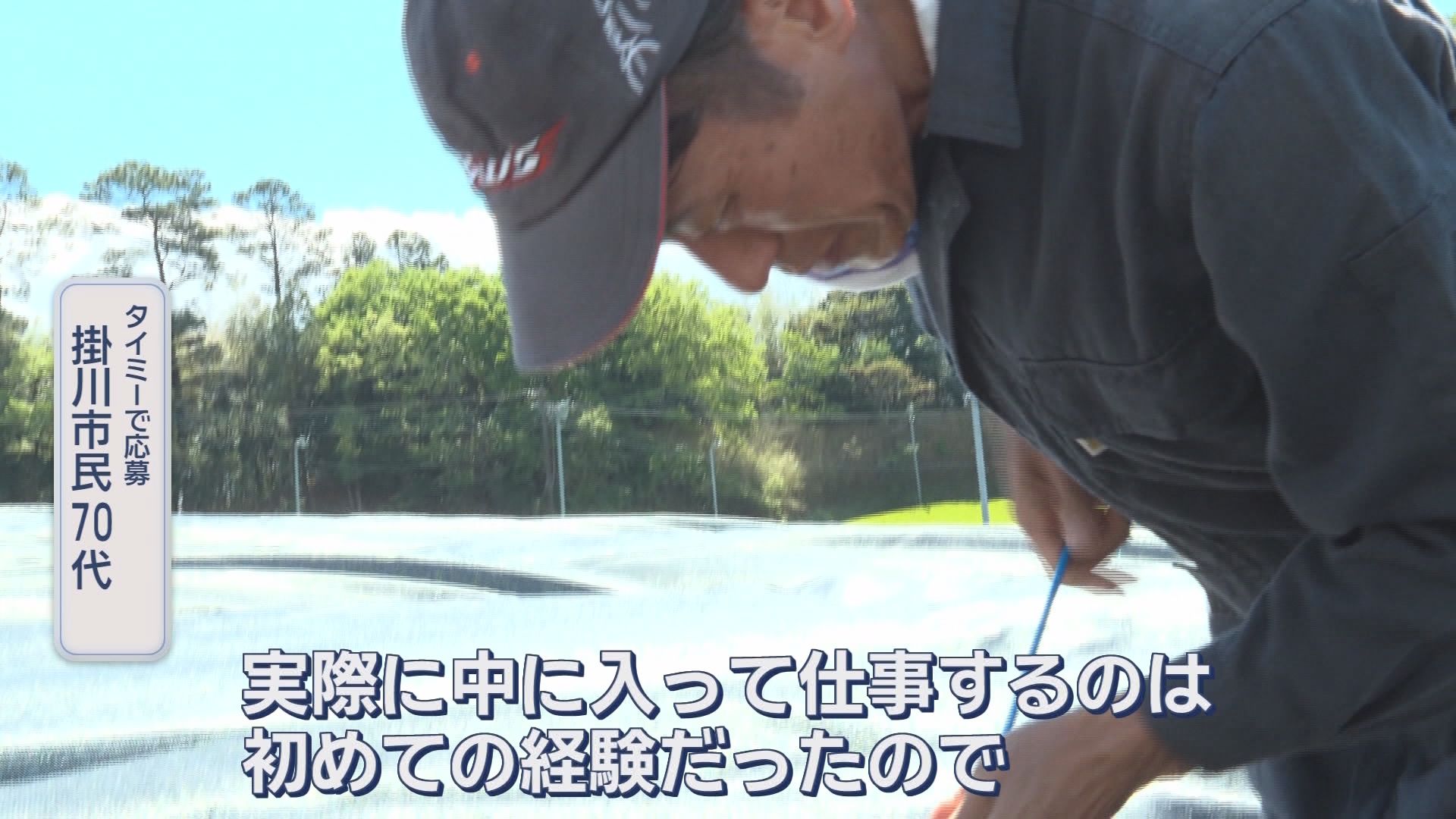 スキマバイトの「タイミー」と連携協定を結んだ静岡・磐田市の狙いは　スキマバイト大活躍の現場　磐田市、掛川市