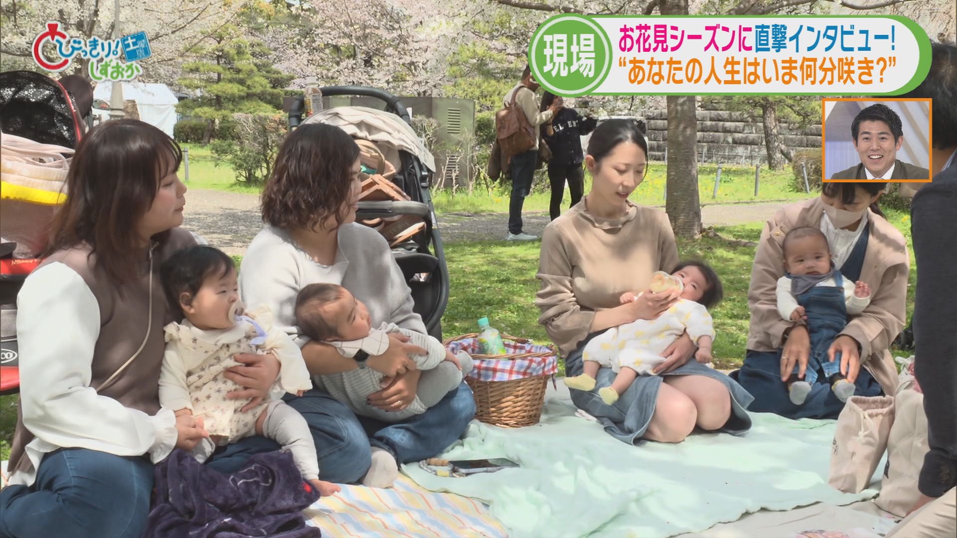 「あなたの人生今何分咲き」…花見客に聞きました　「7分咲き。結婚して満開に…」　静岡市「駿府城公園」