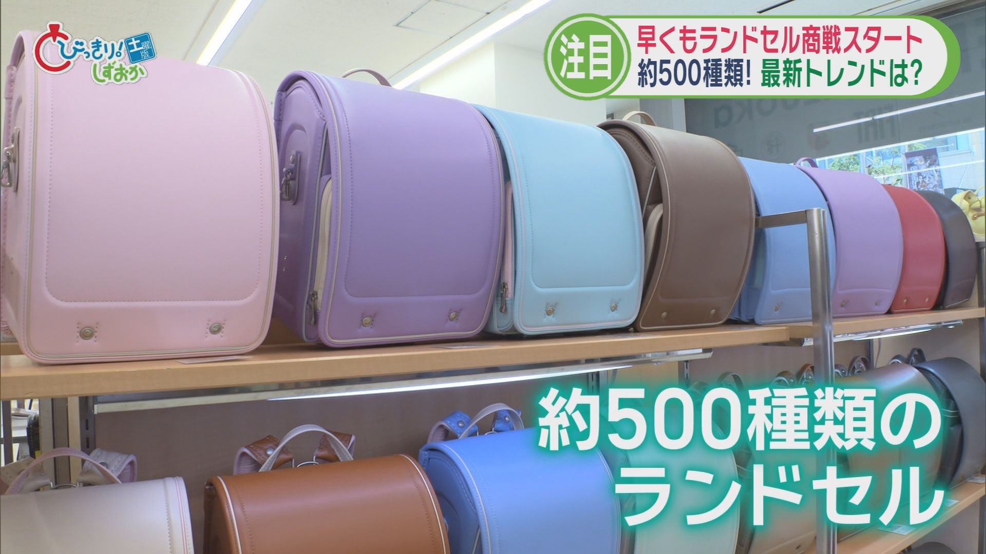 なぜ？　田久保前市長の裁判遅れるかも/自民内部でも反論続々/500種からどう選ぶ…早くもランドセル商戦/静岡茶を世界に　5分でわかる今週の静岡
