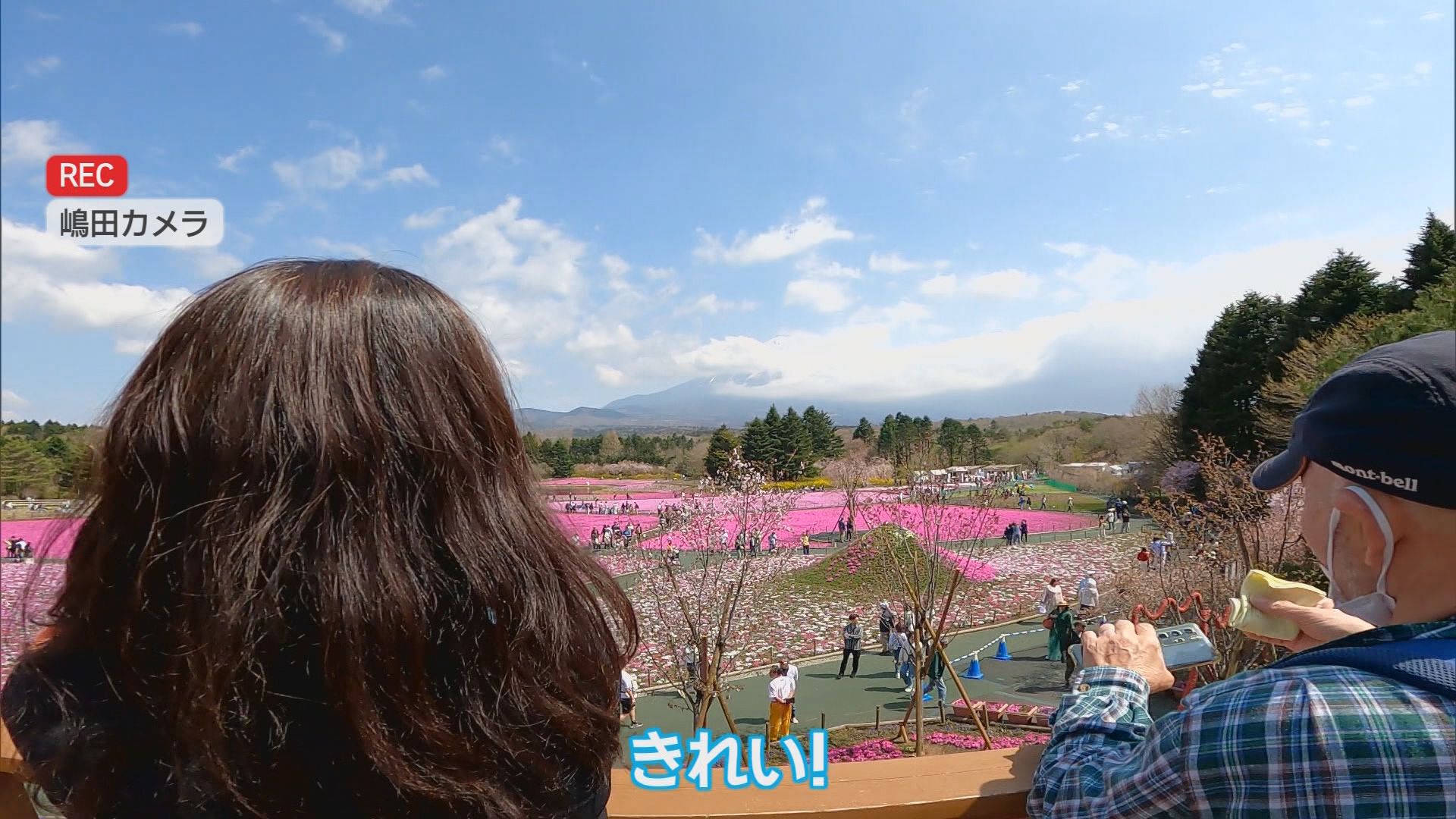 富士山と6種50万株の芝桜を堪能　着物姿で抹茶も　GWオススメスポット　山梨・富士本栖湖リゾート「富士芝桜まつり」