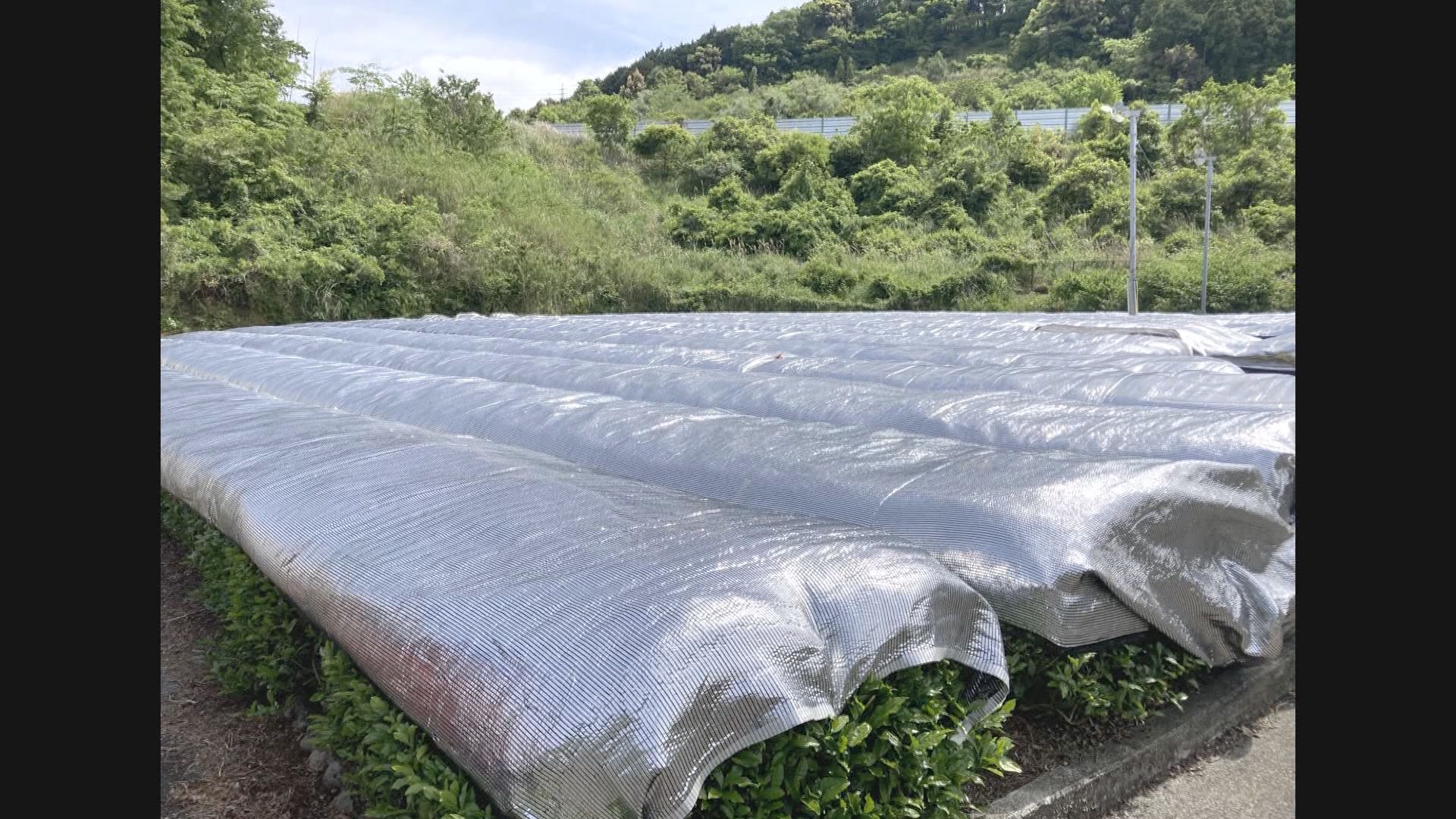 スキマバイトの「タイミー」と連携協定を結んだ静岡・磐田市の狙いは　スキマバイト大活躍の現場　磐田市、掛川市