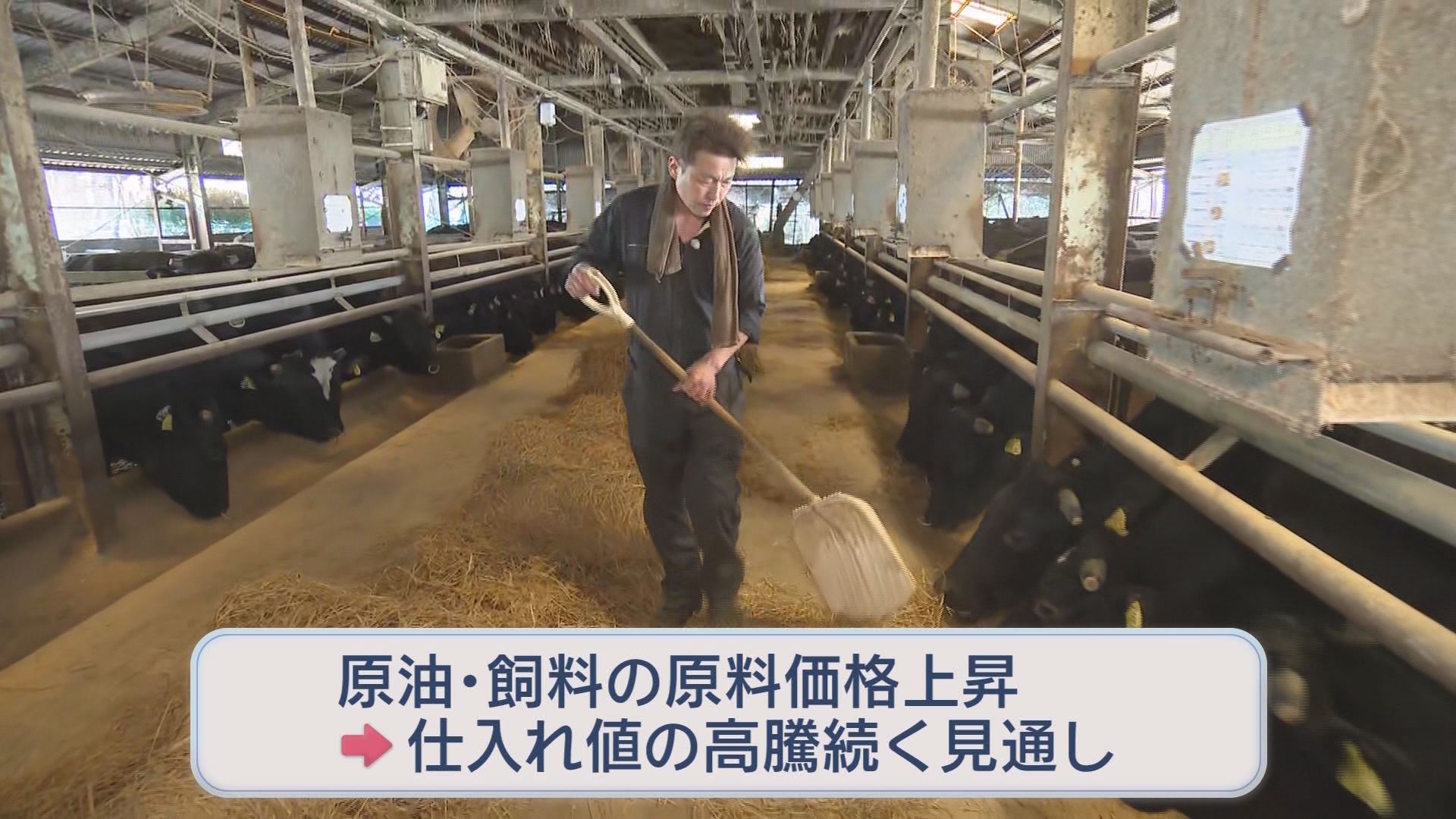 「こんな数字見たことない」建築資材軒並み高騰…一気に80%～100%値上げも　畜産業は飼料・燃料・電気代の三重苦　/イラン情勢で生活への影響拡大