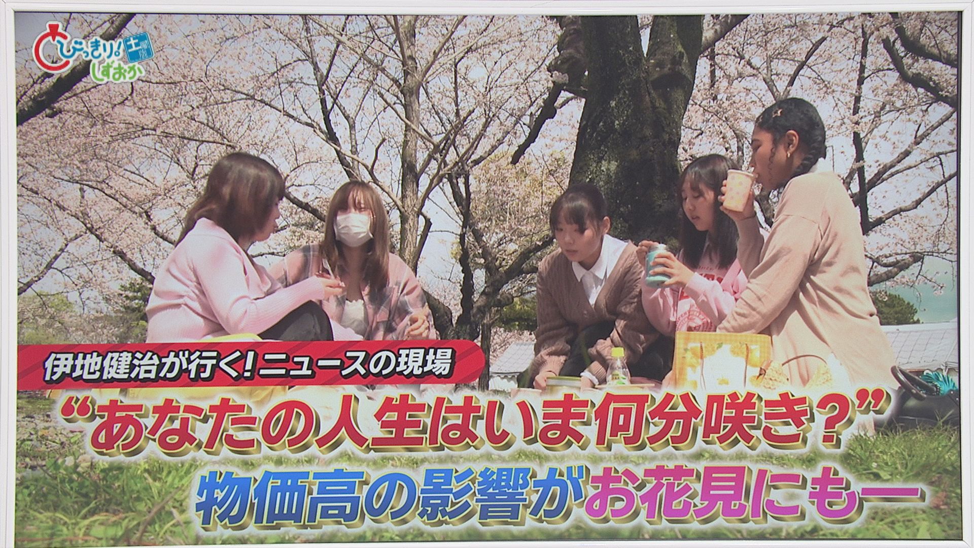 「あなたの人生今何分咲き」…花見客に聞きました　「7分咲き。結婚して満開に…」　静岡市「駿府城公園」