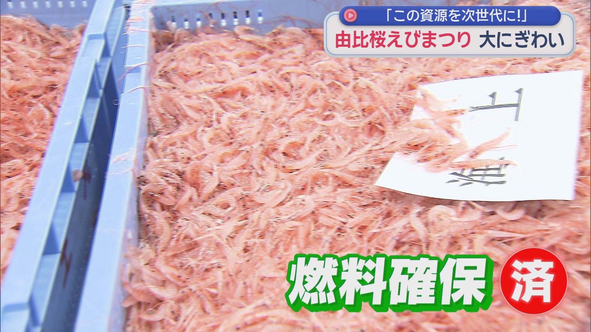 大盛況！大勢の人が訪れた「由比桜えび祭り」　イラン情勢による燃料不足の懸念を乗り切っての開催　静岡市清水区