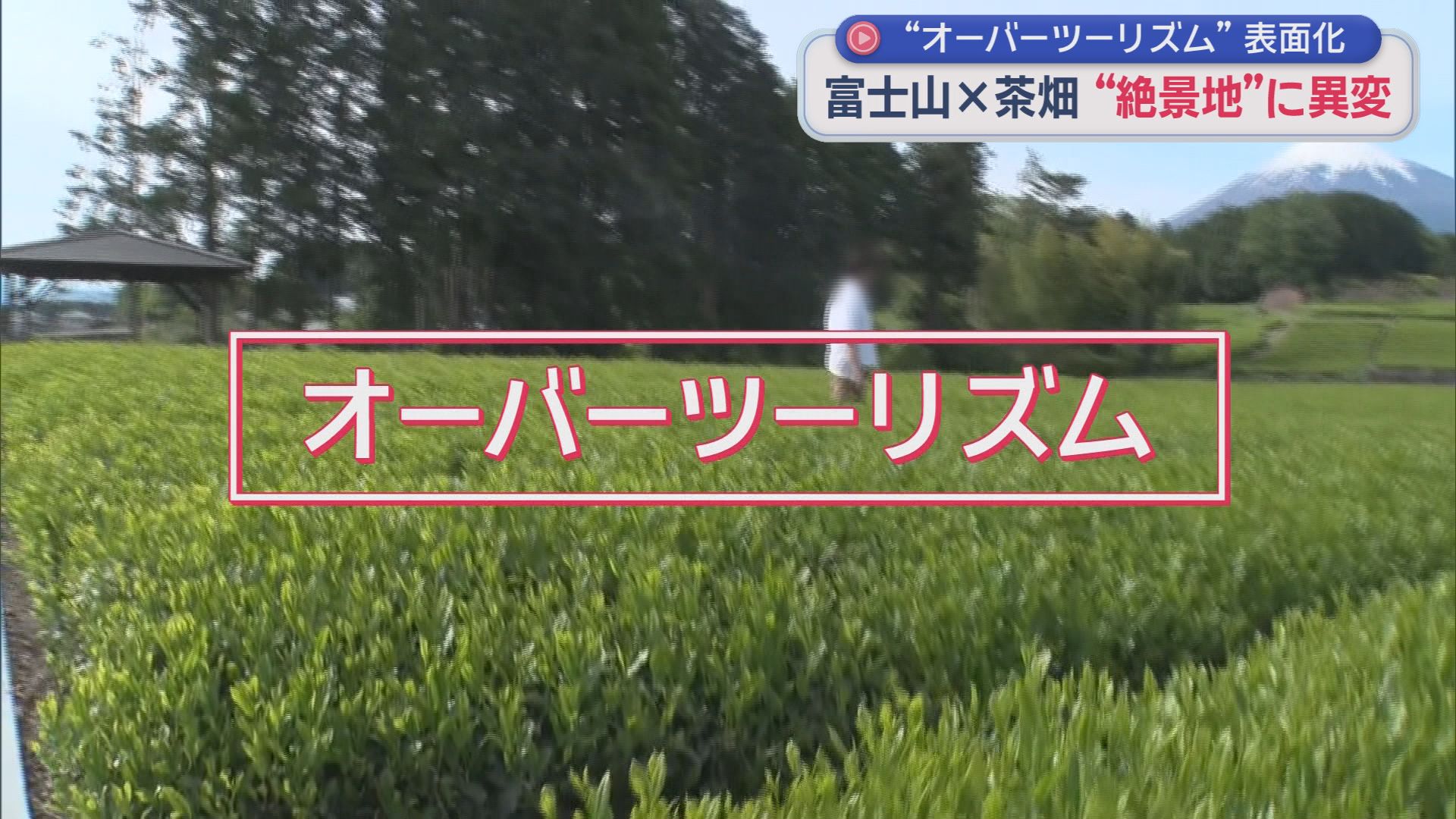 大型連休でにぎわう静岡県内の観光地　一方、外国人観光客にも人気の絶景スポットでは、オーバーツーリズムが問題に