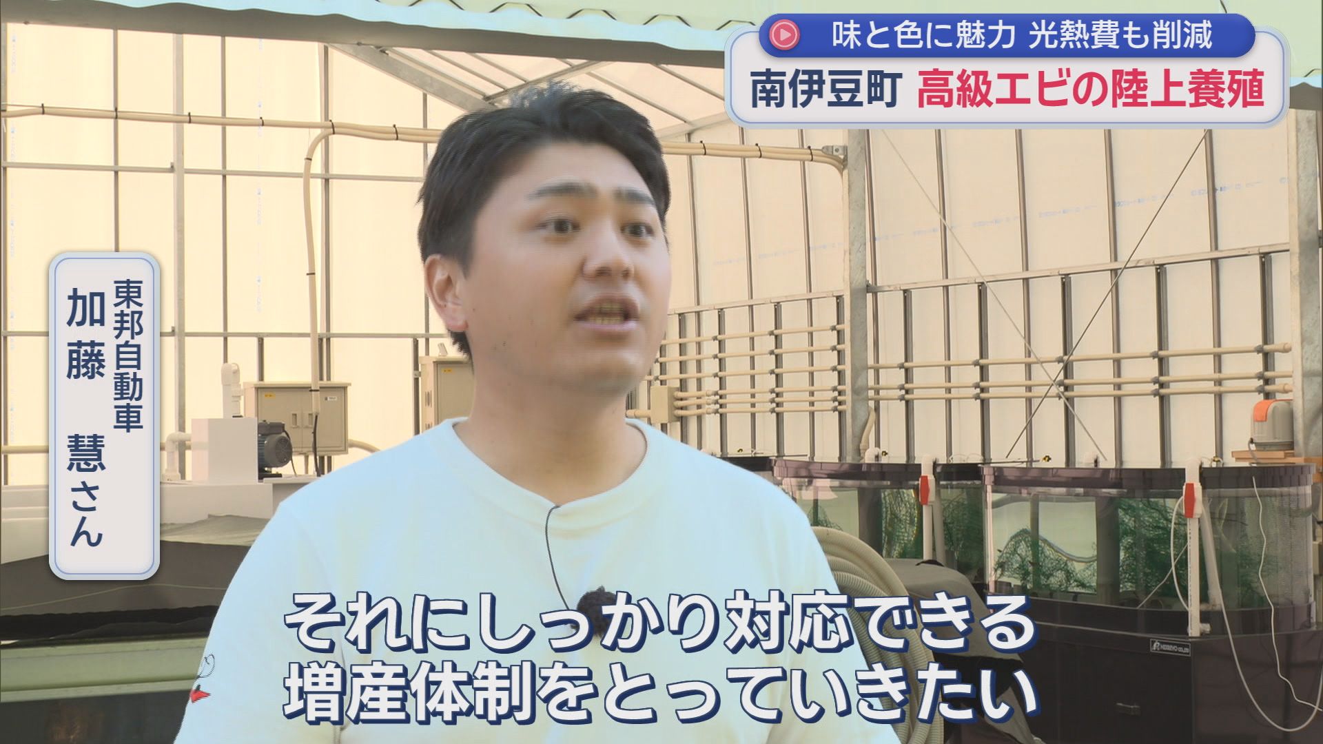 キロ2万円。世界最大級オニテナガエビを「陸上養殖」　「不漁の時はイセエビの代わりに」　伊豆で育てるメリットは『温泉』　静岡・南伊豆町