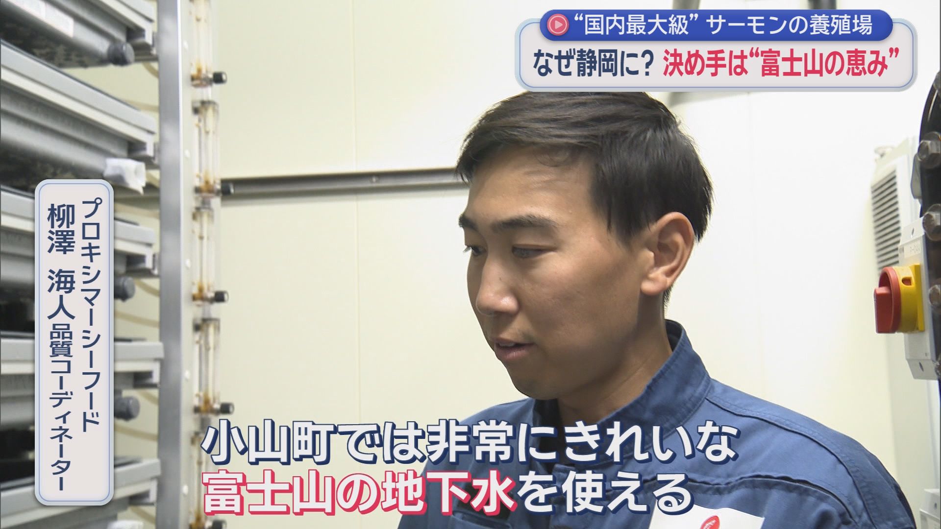 店頭に並ぶ「静岡産サーモン」一番の売りは「鮮度」　日本初の養殖場に静岡・小山町を選んだワケは『水』　　　