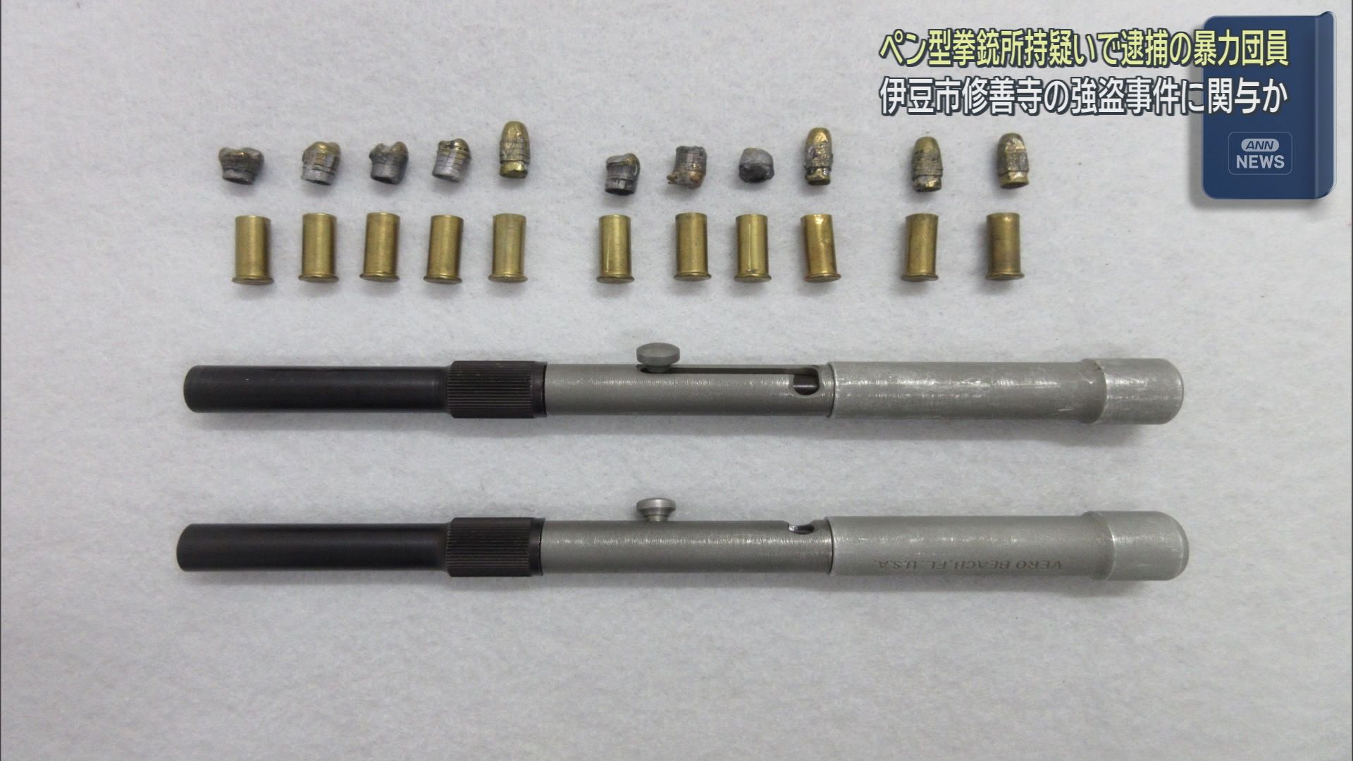 ペン型の拳銃を所持したとして逮捕された暴力団員の男　２月に静岡・伊豆市で起きた強盗事件にも関与か