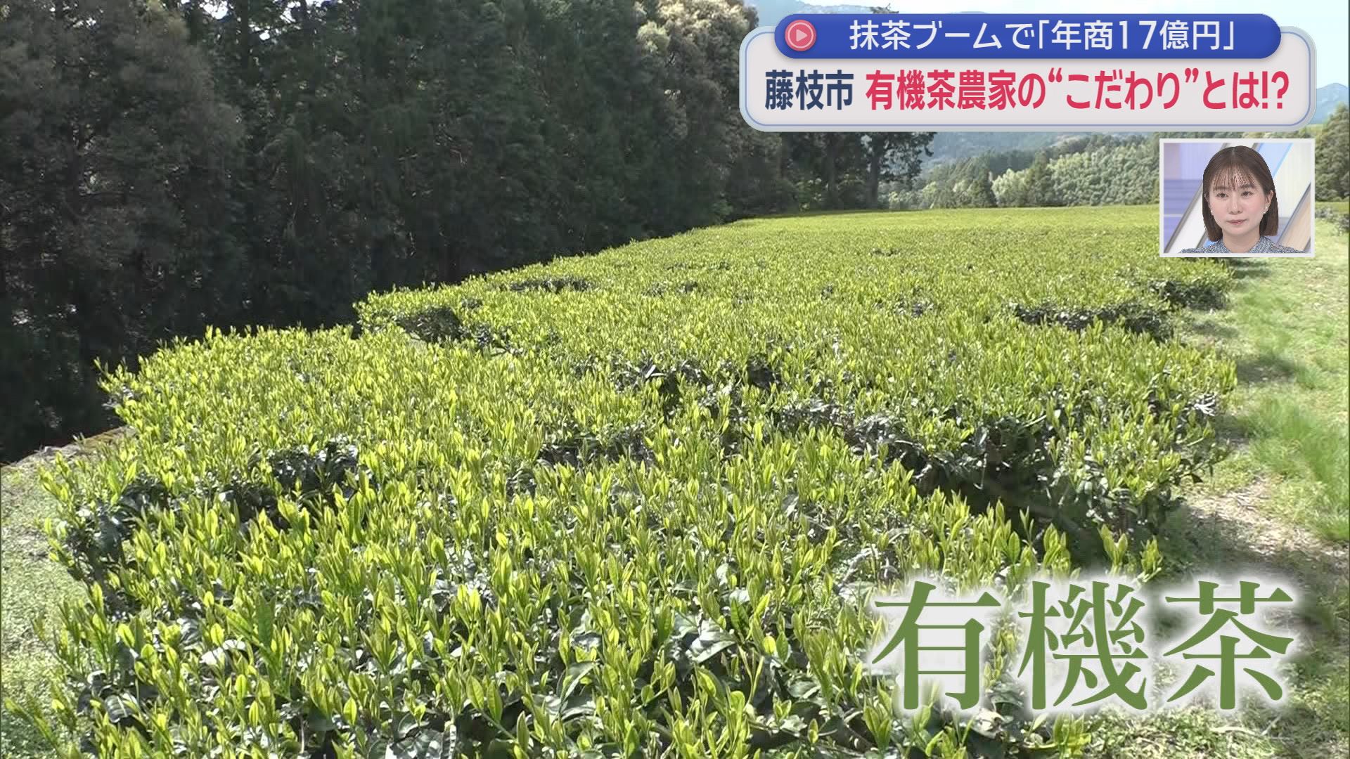 1000万円の売り上げを17億円に…　「経済ガン無視」だった父、息子は「思いと経済」のバランスとって持続的経営　静岡・藤枝市