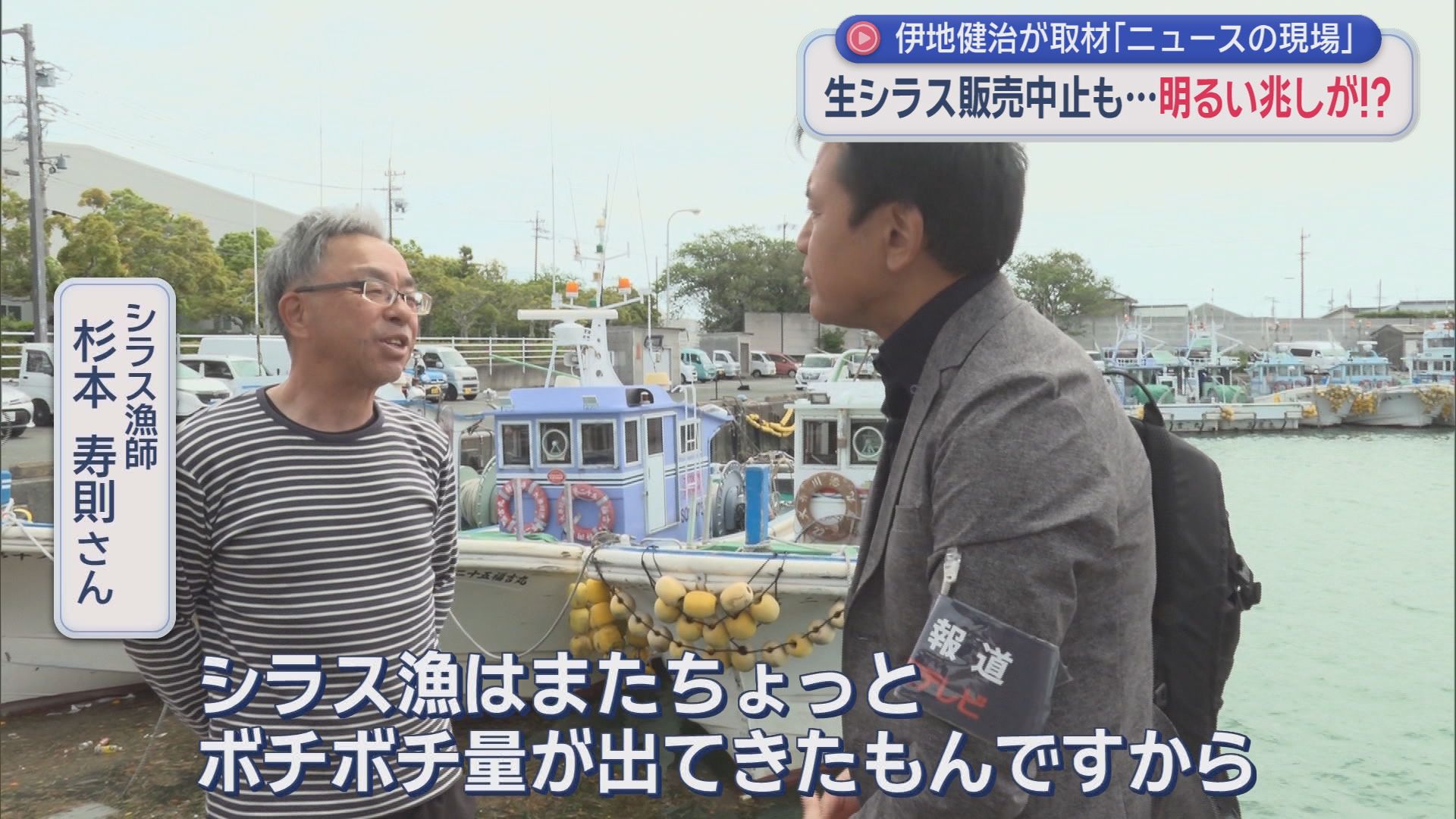 GWの風物詩・大井川港朝市に起きた異変　「生シラスがない!」　ここにきて明るい兆しも…　/ニュースの現場