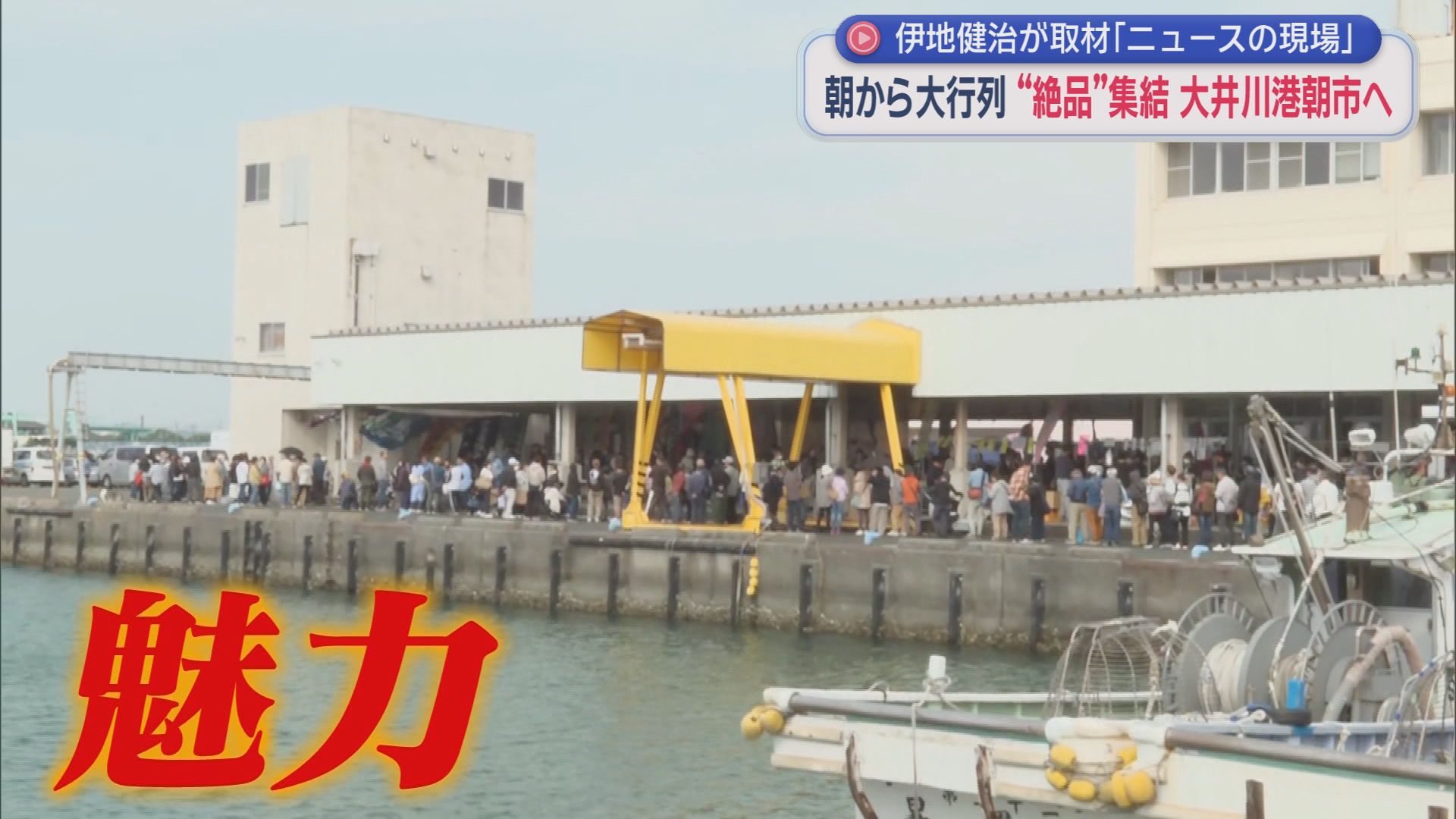GWの風物詩・大井川港朝市に起きた異変　「生シラスがない!」　ここにきて明るい兆しも…　/ニュースの現場