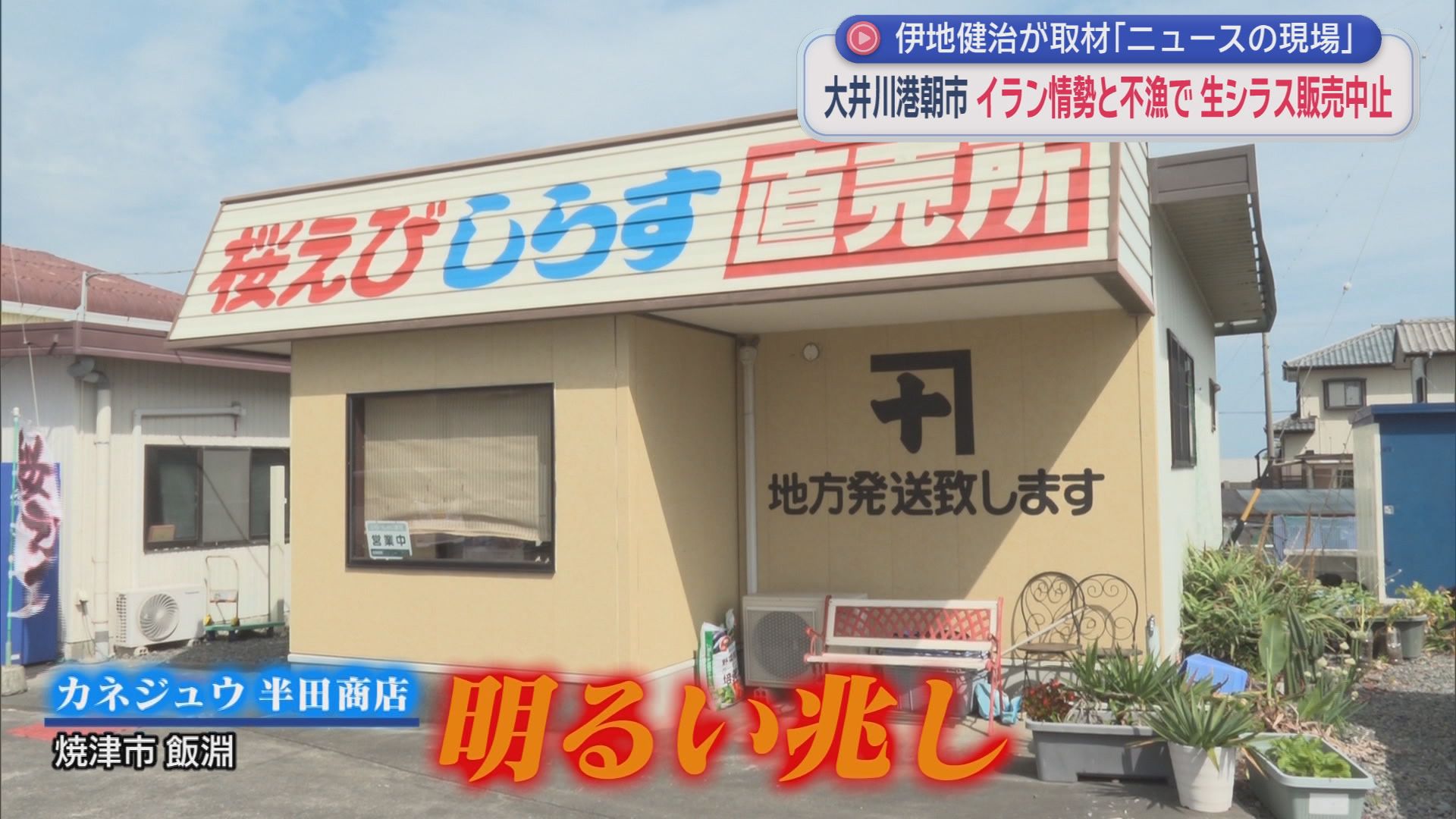 GWの風物詩・大井川港朝市に起きた異変　「生シラスがない!」　ここにきて明るい兆しも…　/ニュースの現場