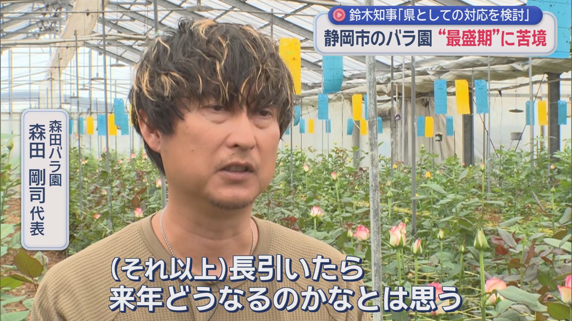 「長引いたらどうなるのかな」　重油だけでなく包装資材も高騰　不透明なイラン情勢にバラ園の苦悩　静岡市