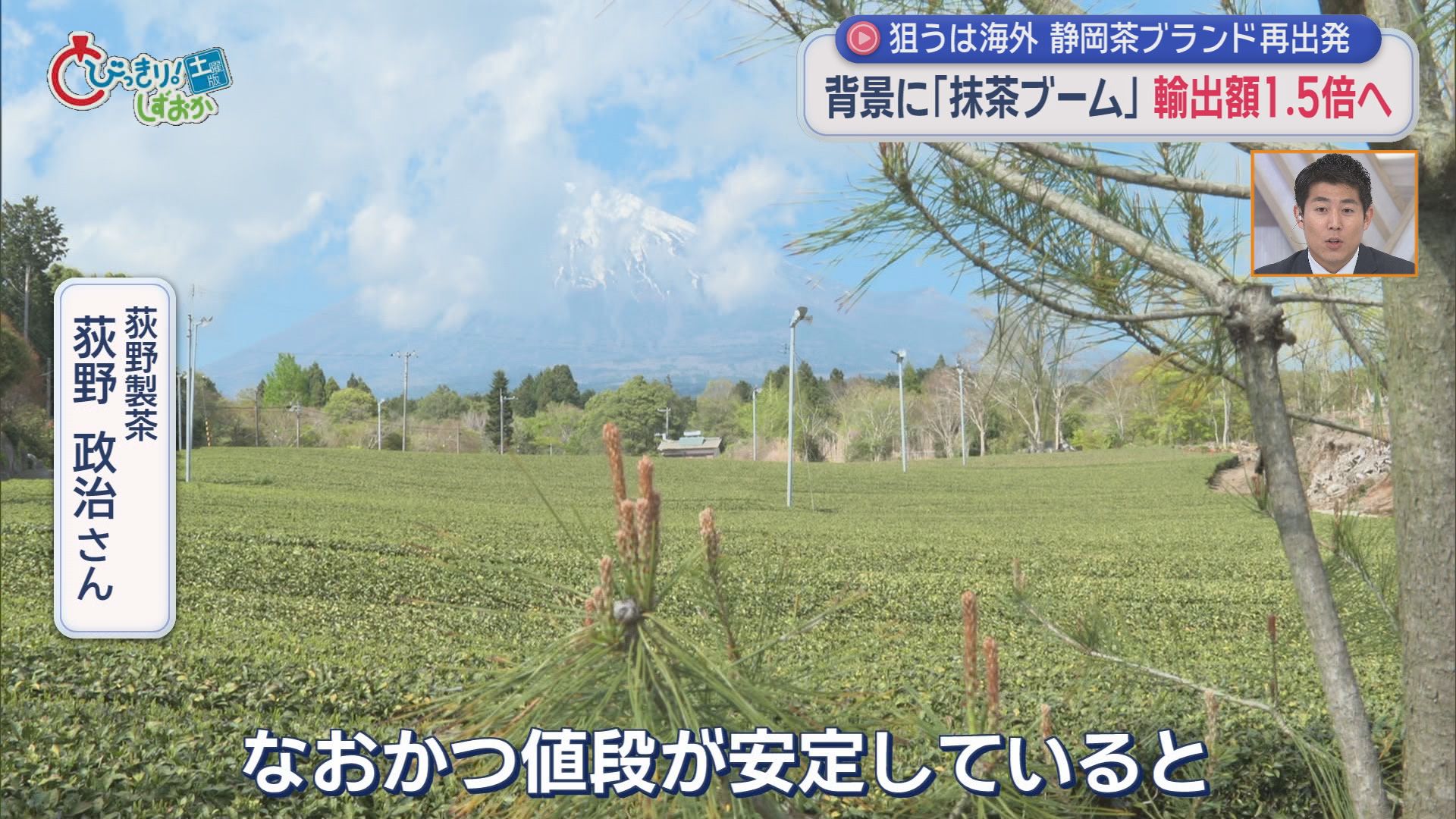 荒茶生産量トップ陥落の『静岡茶』4年で輸出1.5倍めざす　背景に海外の“抹茶ブーム”外国からの視察も