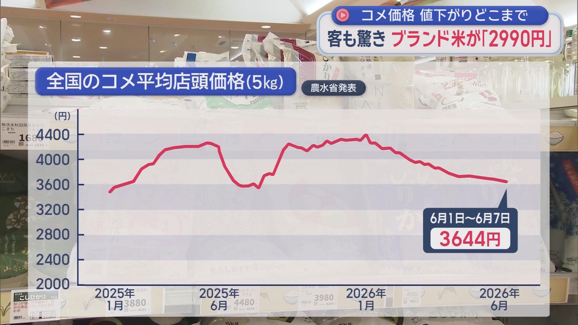 スーパーには2000円台のブランド米も　“令和の米騒動”の一因の『猛暑』に強い「新品種」を静岡で開発中