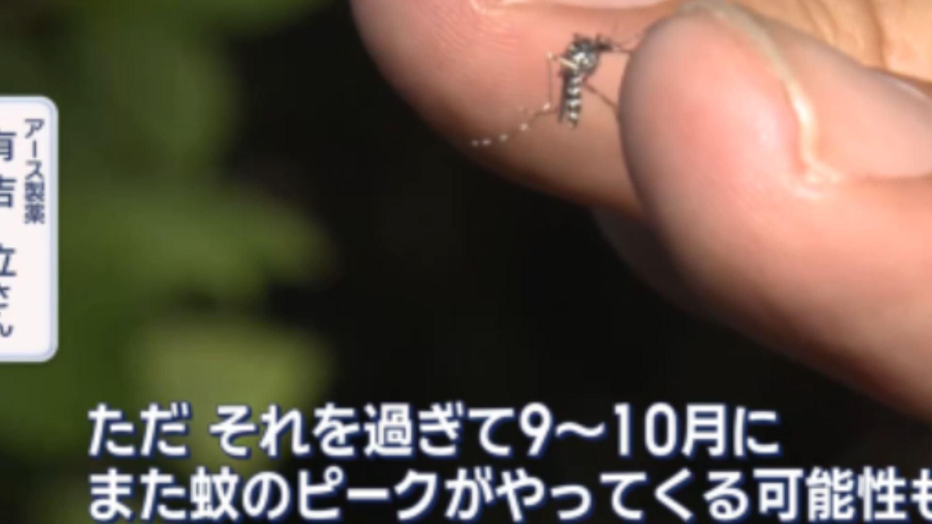 秋にもピーク!?