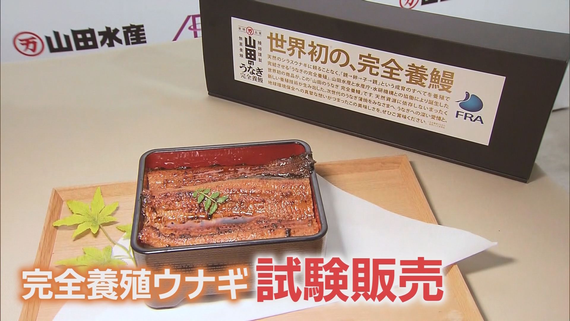 今年はウナギが安い!　特大サイズが1尾1000円　『完全養殖』低コスト化に成功…さらなる期待も