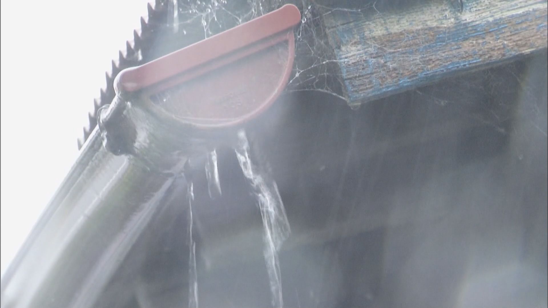 雨どいがピンチ