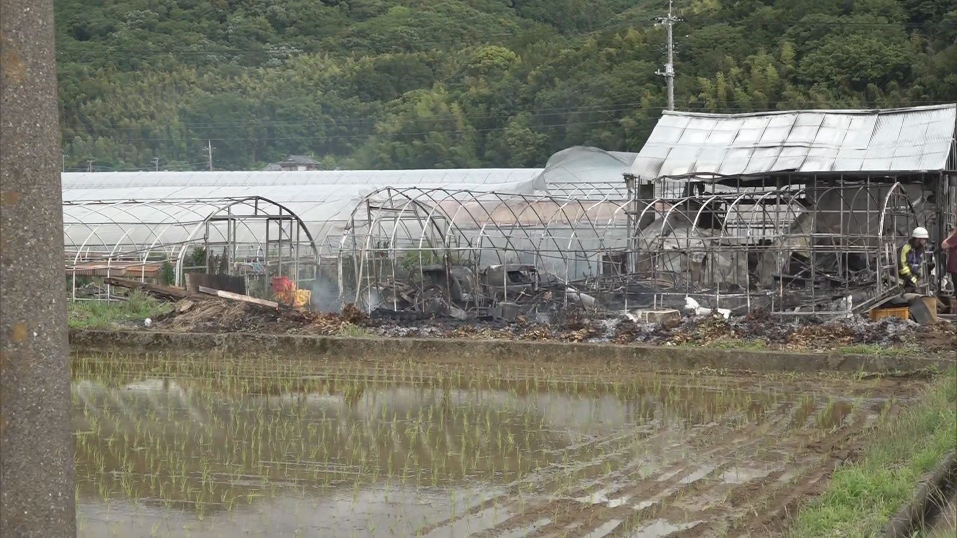 【速報】ビニールハウス火災…消火活動継続中　けが人の情報なし　田んぼの中で延焼の可能性は低い　静岡・伊豆の国市