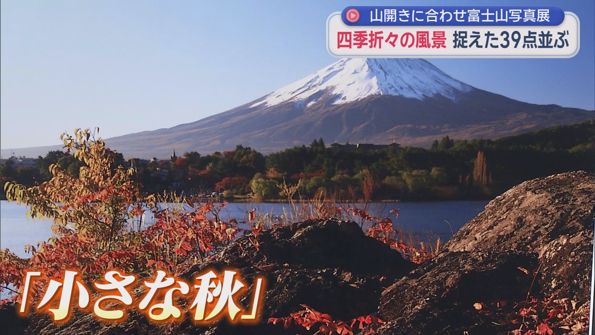 山開きに合わせ富士山写真展　雪化粧や桜満開…四季折々の表情を堪能　静岡・富士市