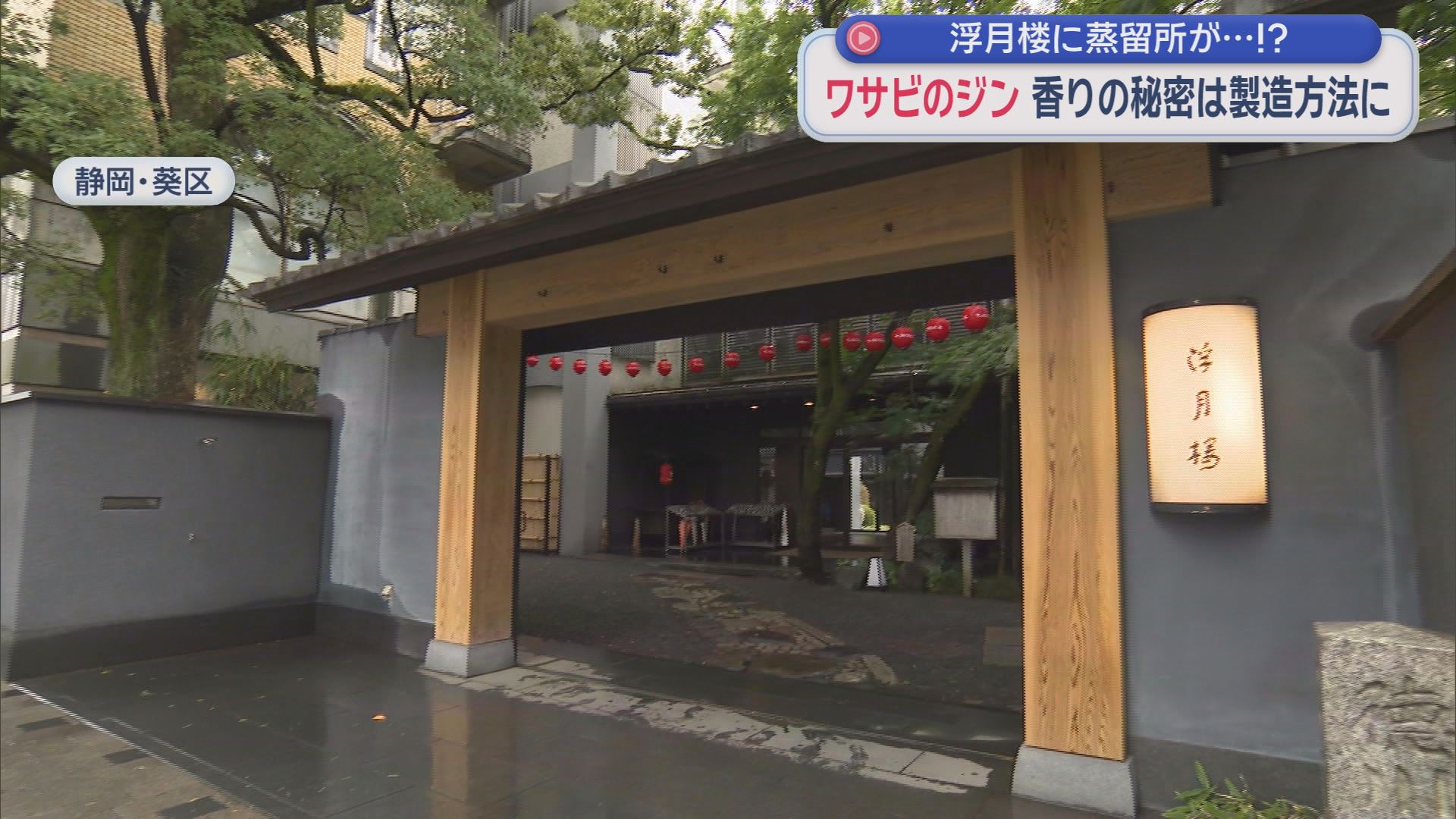 静岡大学発のベンチャー企業が県産の素材を使ったクラフトジンを開発　研究を重ねてたどり着いた味と香り　こだわりの製造方法とは…
