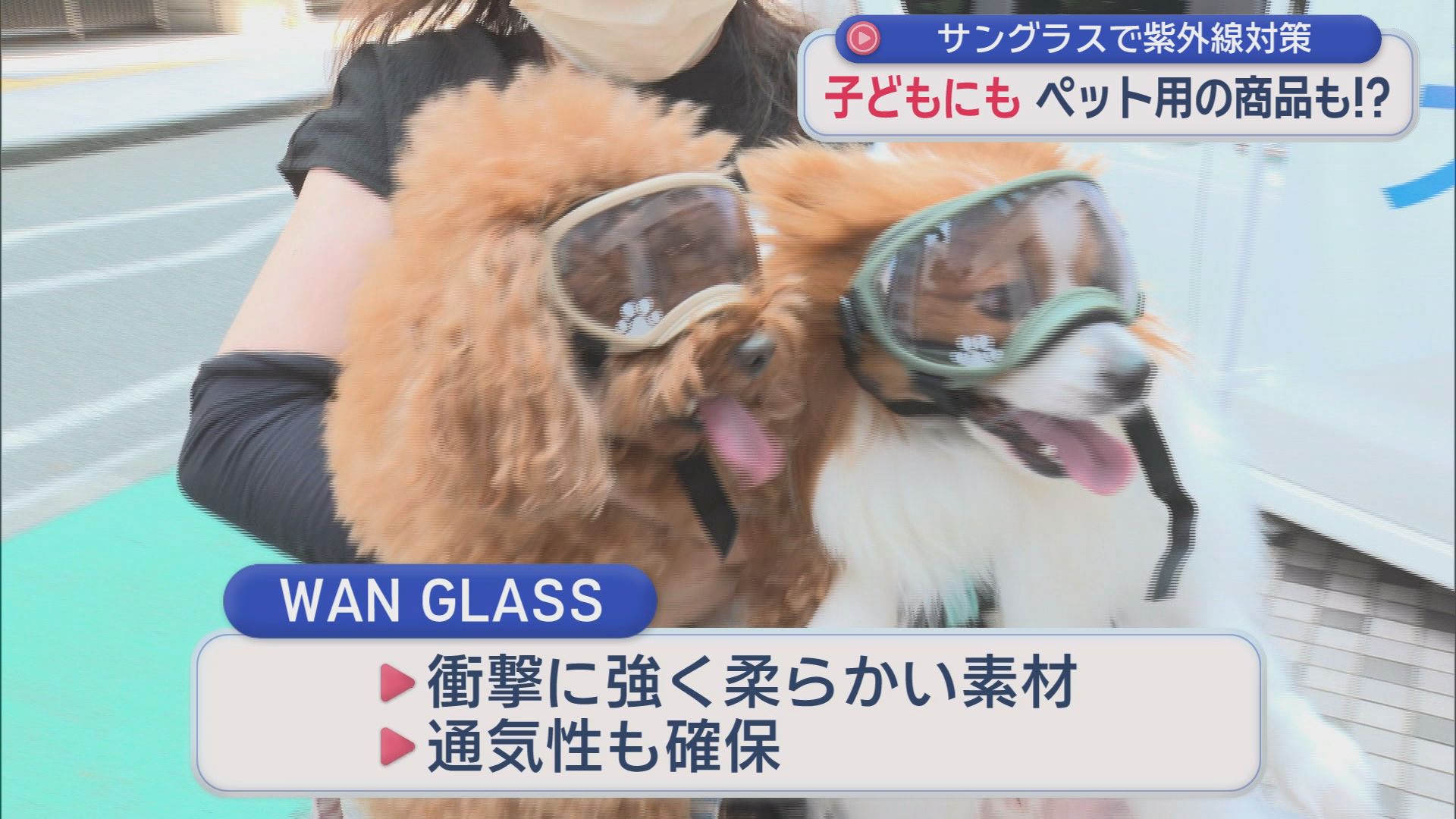 犬にもサングラスの時代？愛犬用「ワングラス」登場　連日の強烈な紫外線…進化するサングラス事情　「濃い色が最適とは限らない」医師が勧める選び方　
