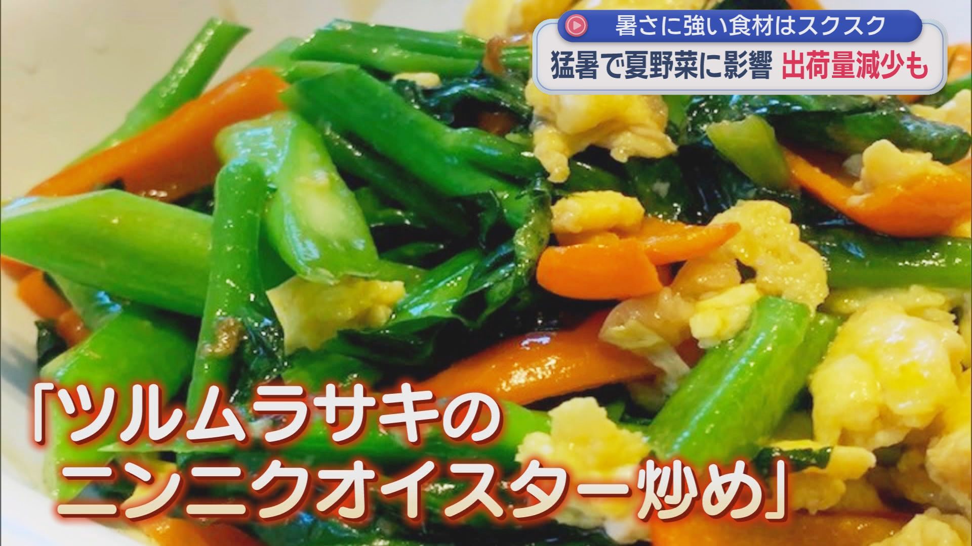 50℃超えのハウスで何が?　夏野菜が次々枯れる“異常な暑さ”　農家も頭抱え「これほど水をまいたことがない」