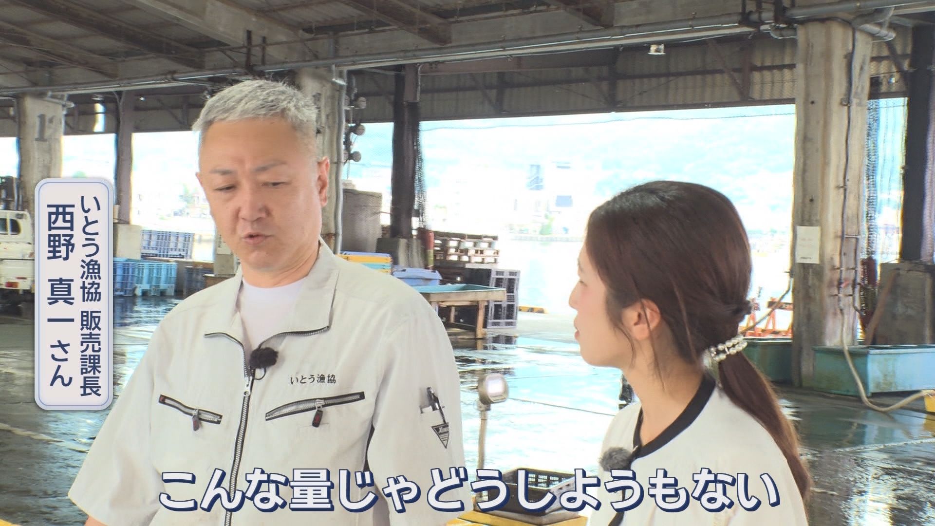 「ほぼ無いようなもん」夏の味覚サザエに異変　水揚げ激減の一方でシラスは記録的豊漁　静岡の海で何が?