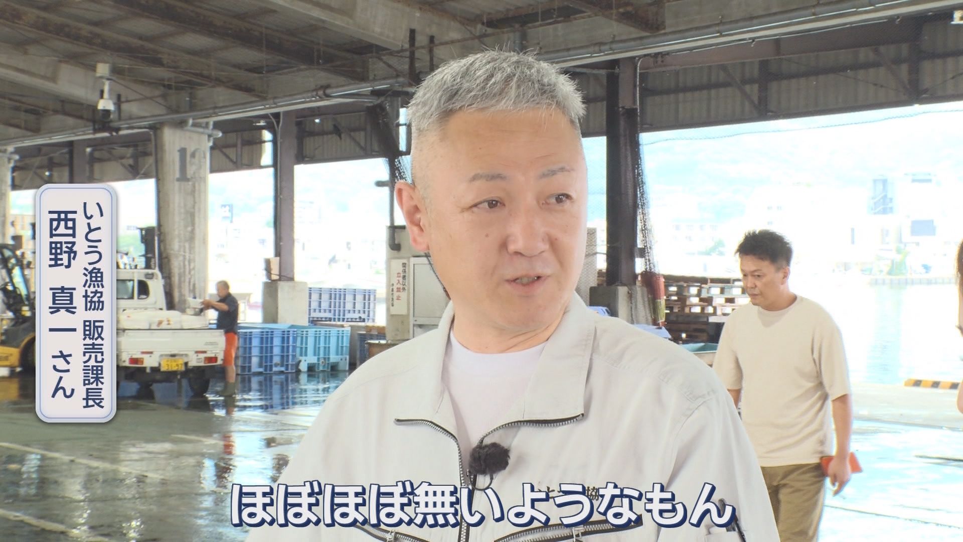 「ほぼ無いようなもん」夏の味覚サザエに異変　水揚げ激減の一方でシラスは記録的豊漁　静岡の海で何が?
