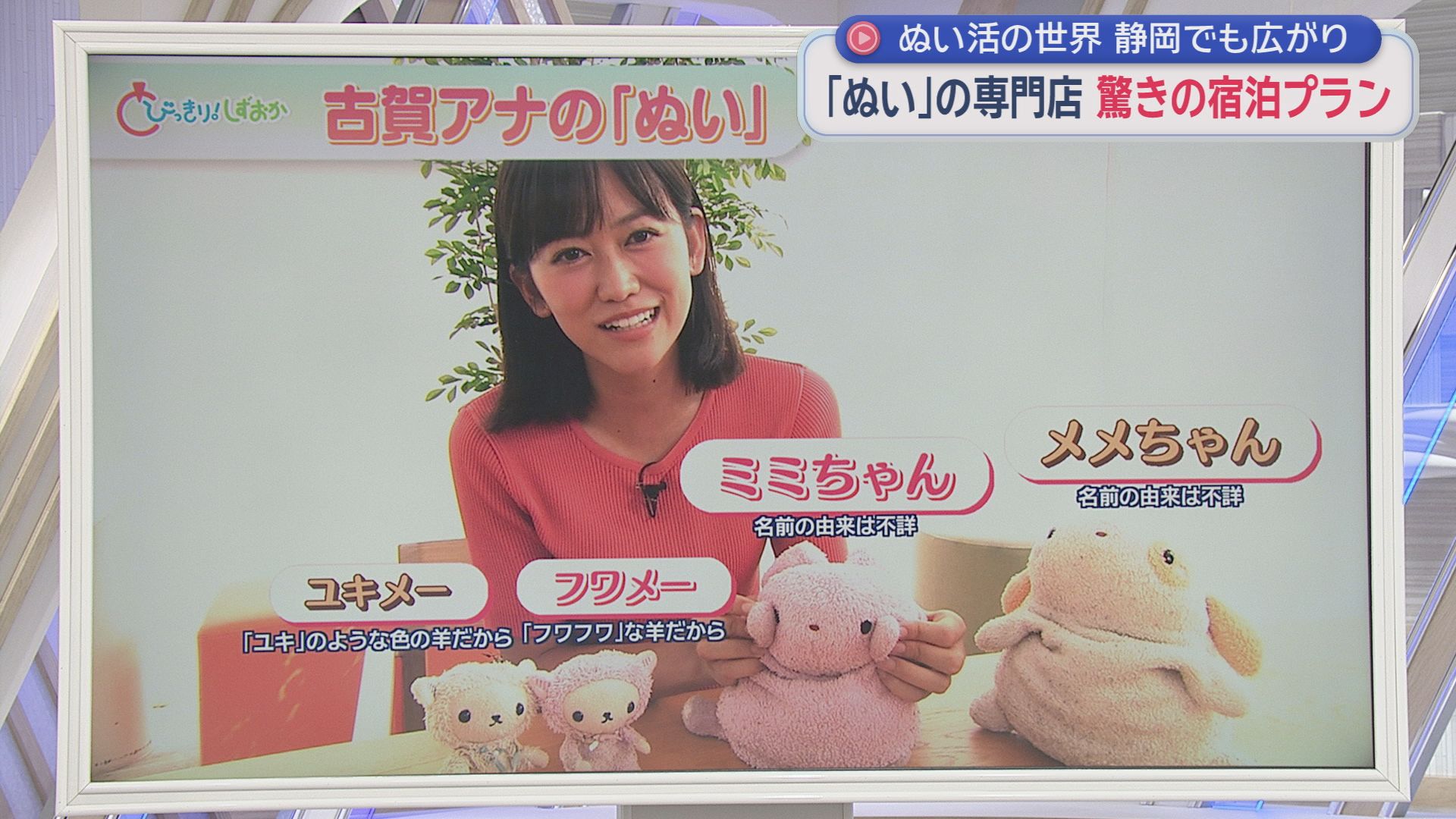古賀りなアナ、実は“ぬい活歴25年”「人間とぬいぐるみは対等です」　静岡でも広がる“うちの子”ブーム