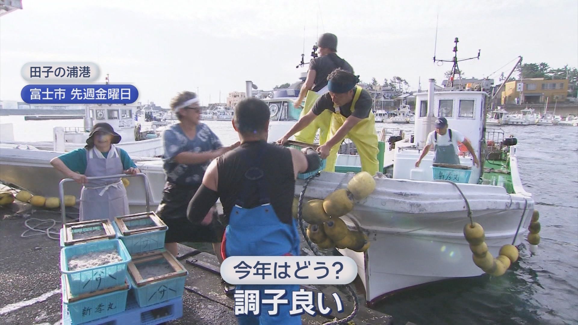 富士市の田子の浦港