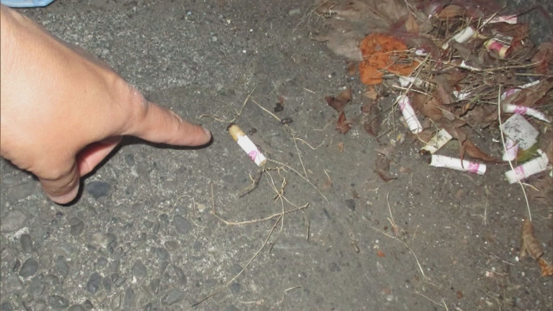 静岡中央署提供
