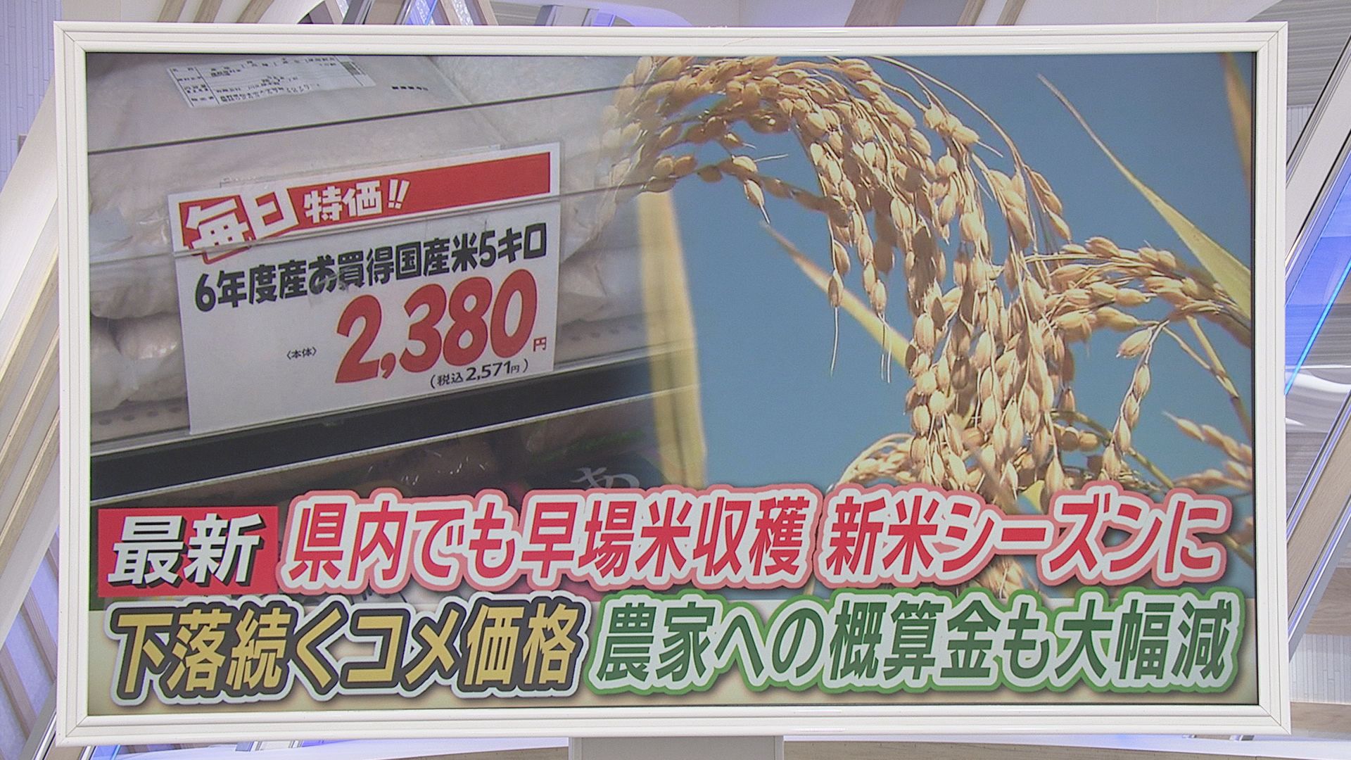 コメは安くなるのに農家は苦しい?　新米シーズンに浮かび上がる矛盾　コメの値下がり加速で農家「このままでは離農も」