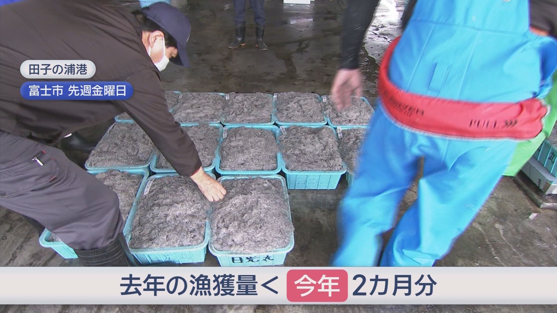 2カ月で去年1年分を上回る