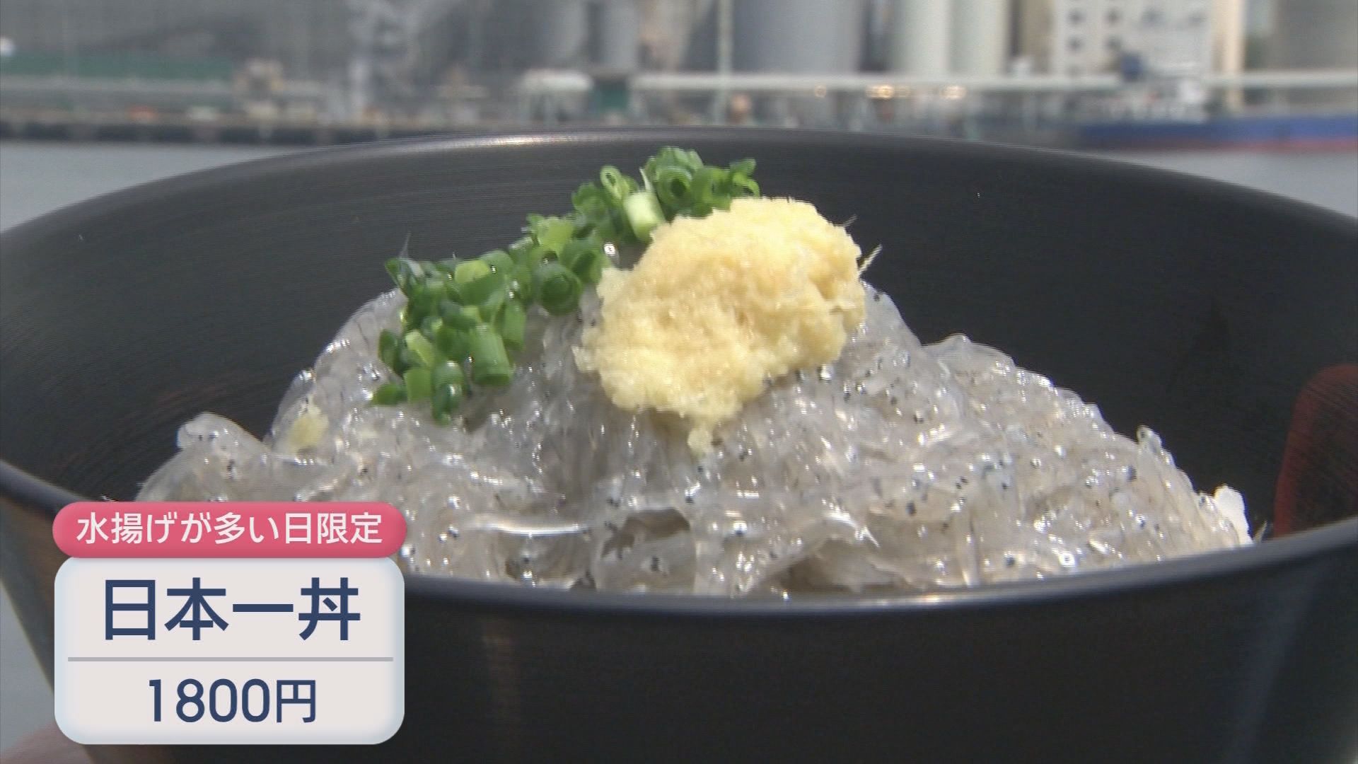 「日本一丼」