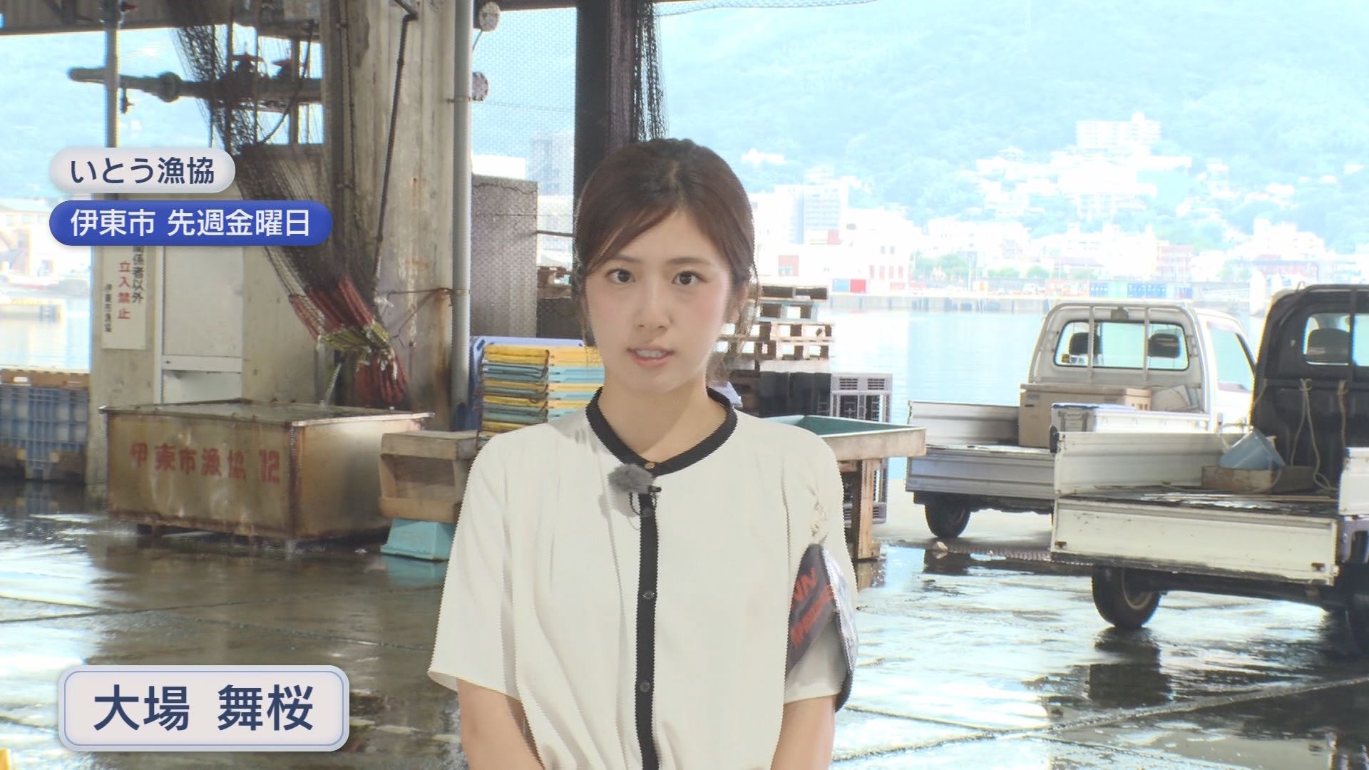 「ほぼ無いようなもん」夏の味覚サザエに異変　水揚げ激減の一方でシラスは記録的豊漁　静岡の海で何が?