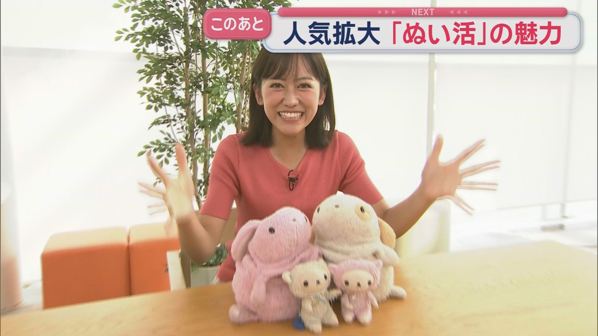 古賀りなアナ、実は“ぬい活歴25年”「人間とぬいぐるみは対等です」　静岡でも広がる“うちの子”ブーム