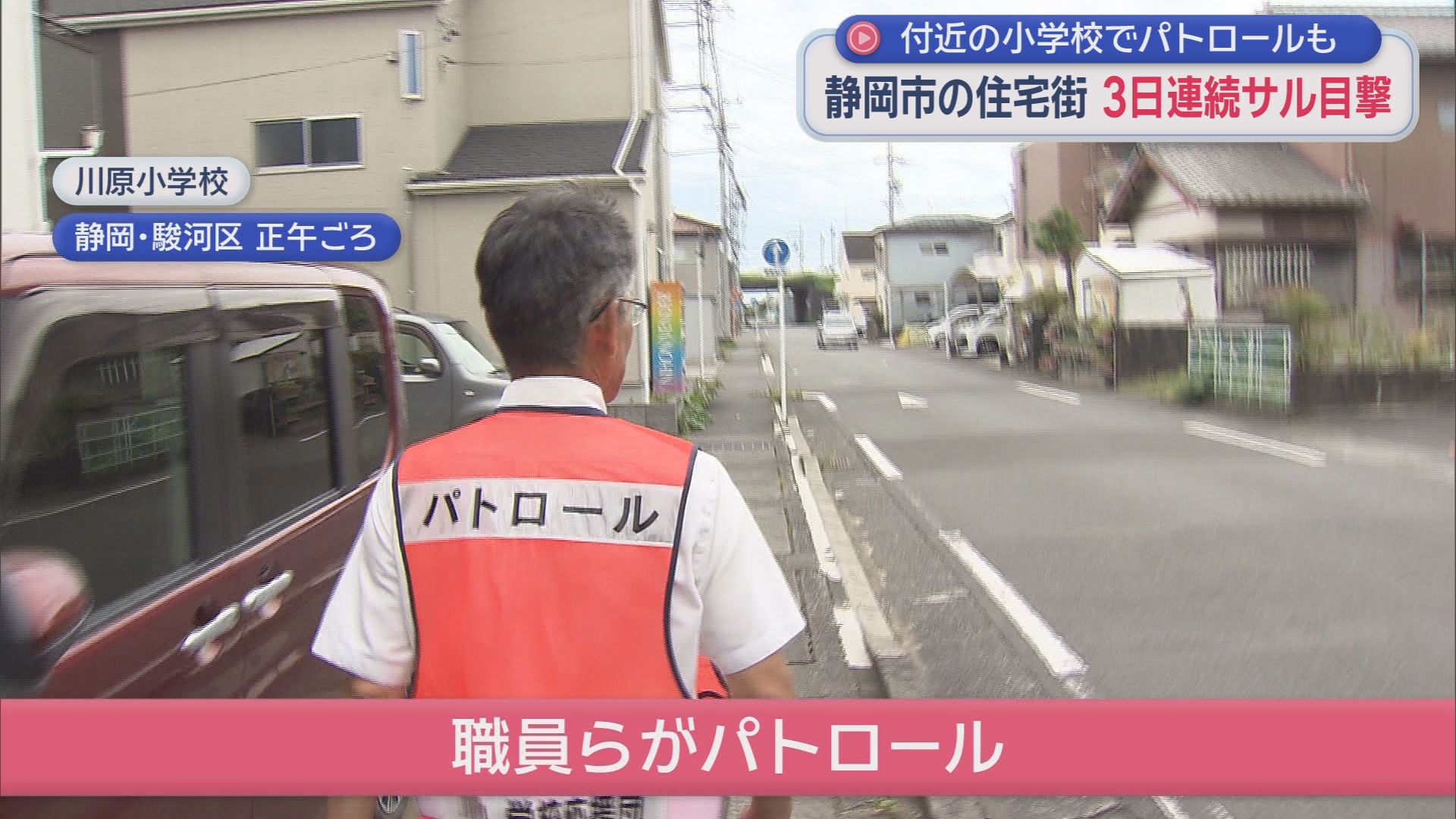 通学路にサル出没！小学校が緊急警戒　3日連続の目撃情報　「近づかないで」学校が異例の呼びかけ　