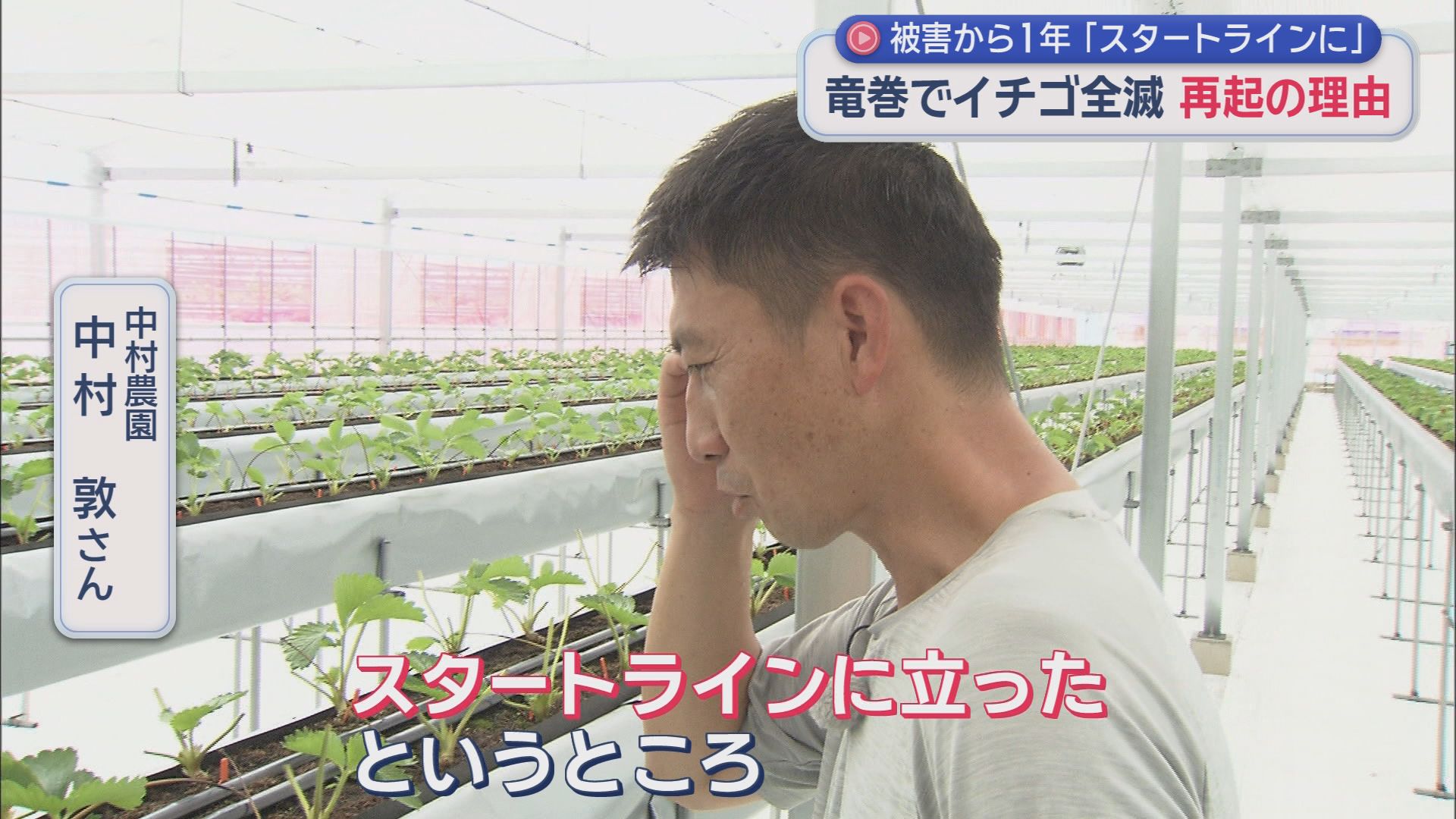 苗1万2000株全滅、被害4500万円…竜巻から1年、イチゴ農家の再出発　静岡・吉田町