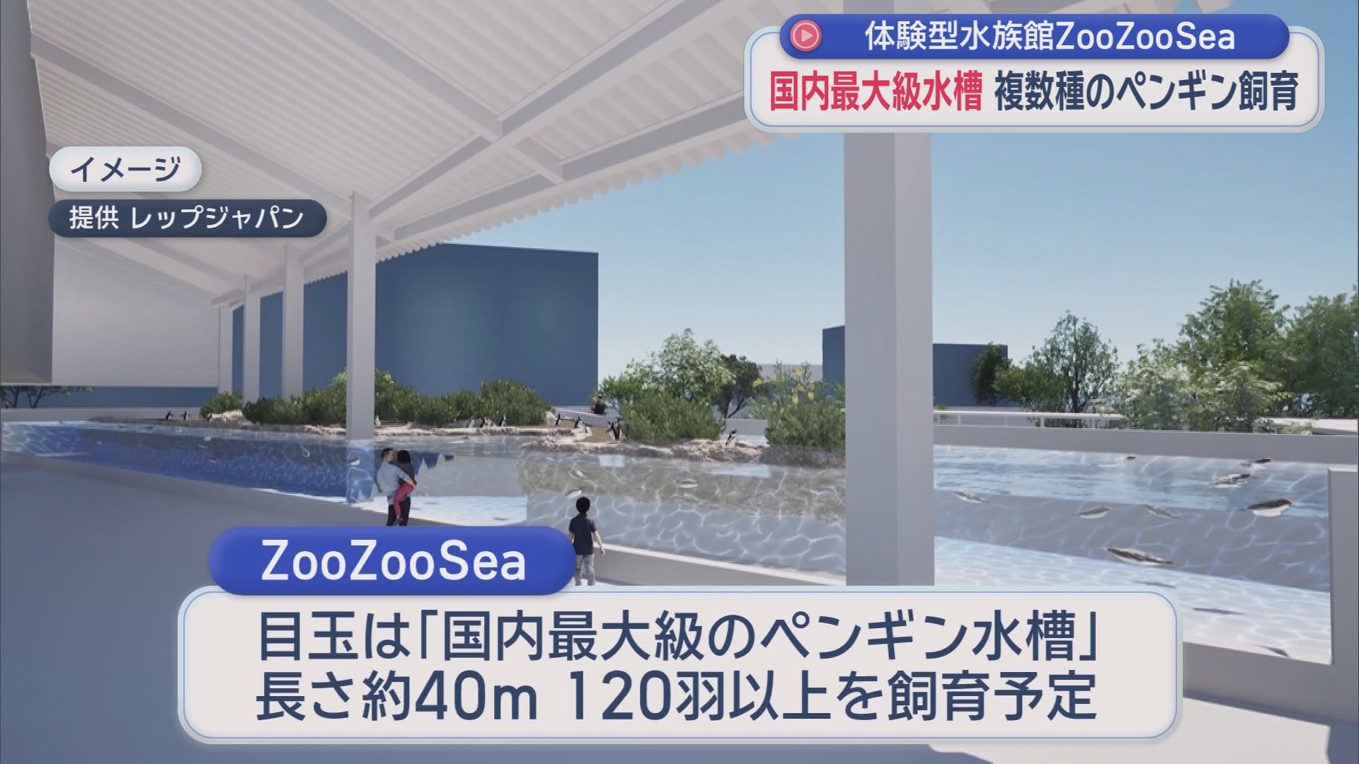 “国内最大級”40mのペンギン水槽に120羽超　新水族館の全貌　自然界には2万羽以下…絶滅危惧種の繁殖に挑戦　2029年度開館　静岡市｢Zoo Zoo Sea｣