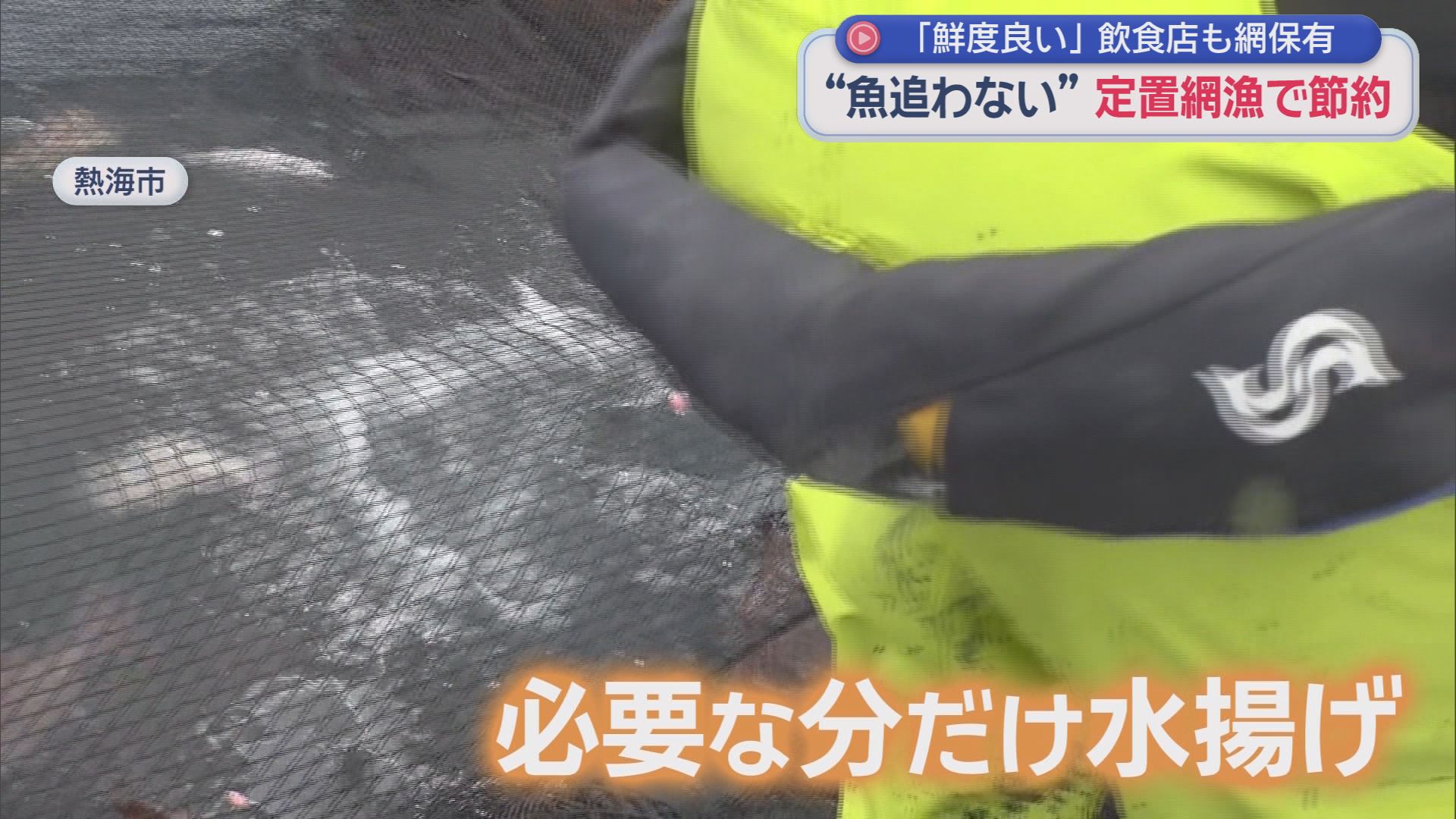 「魚を追わないのに獲れる」…燃料高騰で注目・江戸時代から続く静岡・伊東の〝待ちの漁〟　