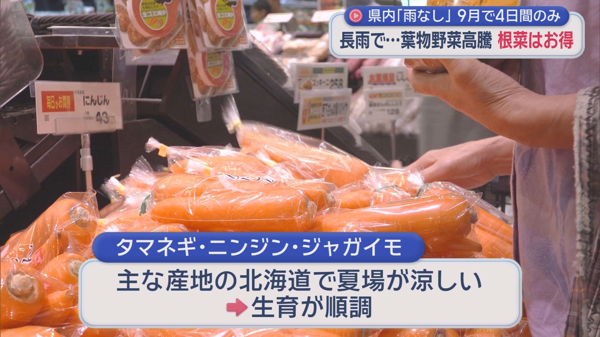 晴れはわずか4日…“雨だらけの9月”が家計直撃　ハクサイ、ニラが2倍、レタス7割高　買い物客「手が届かない…」　でも、なぜかカレーはお得？　